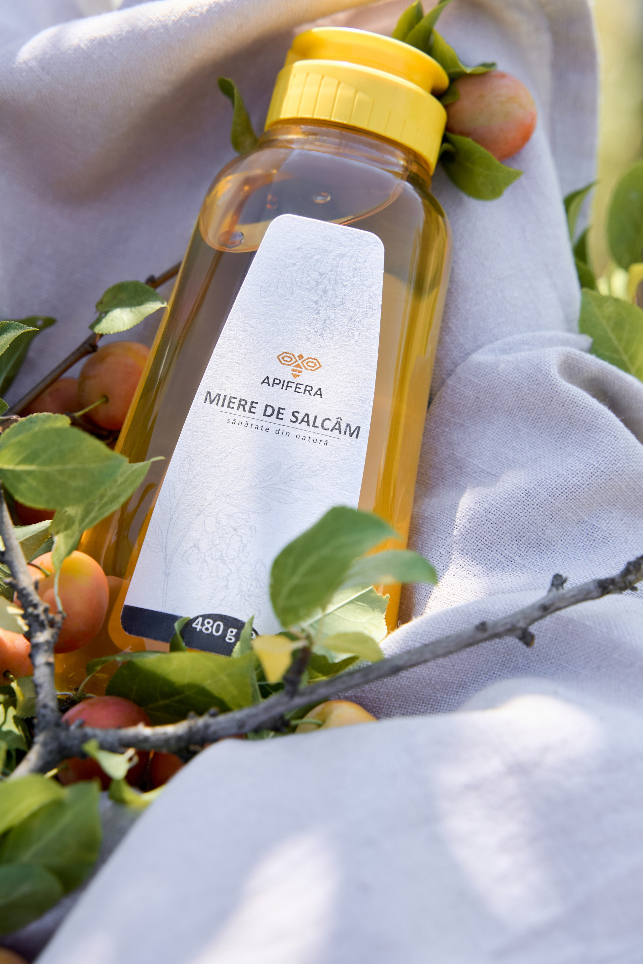 Apifera. Привет