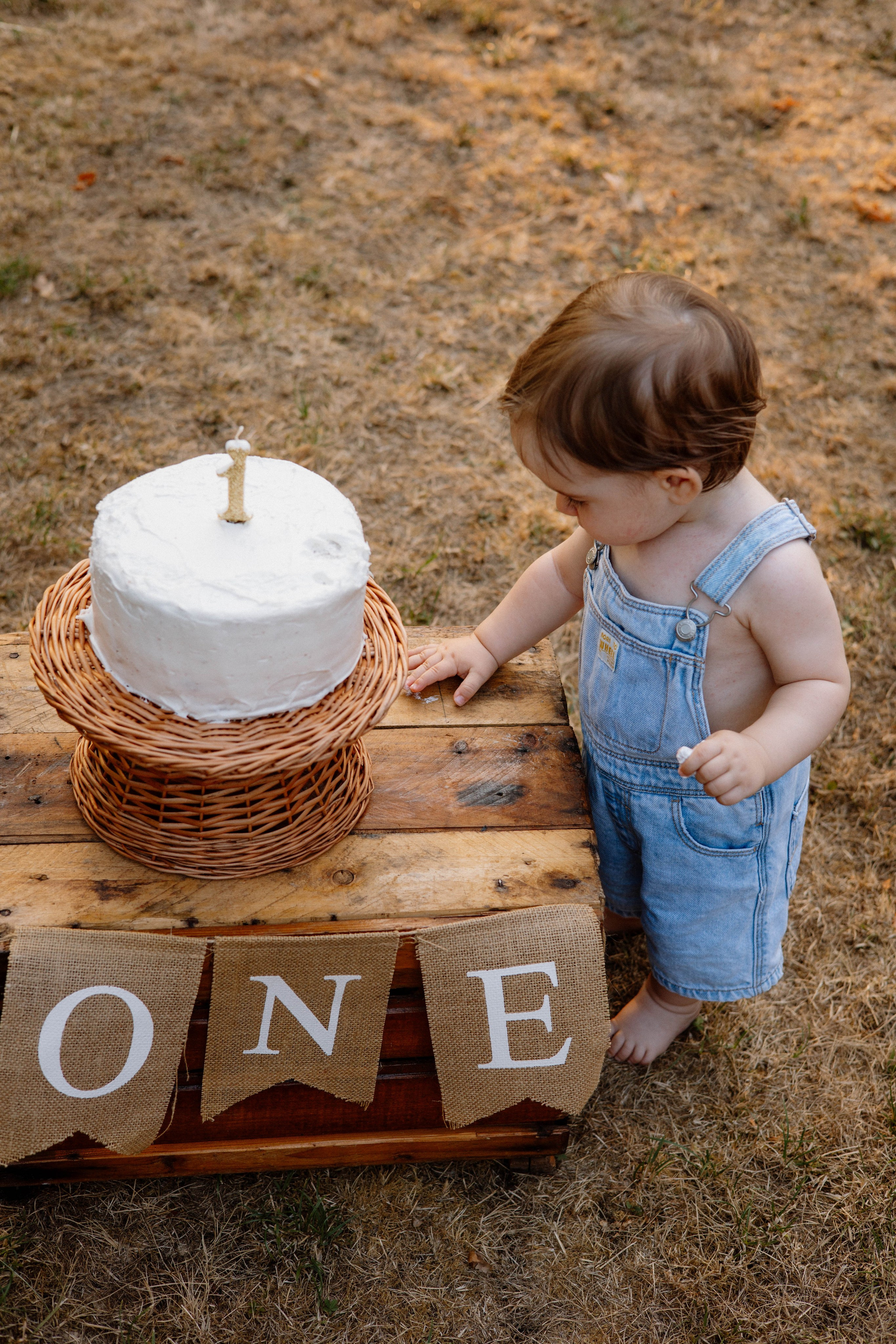 Smash Cake Photography. Family and Wedding Photographer