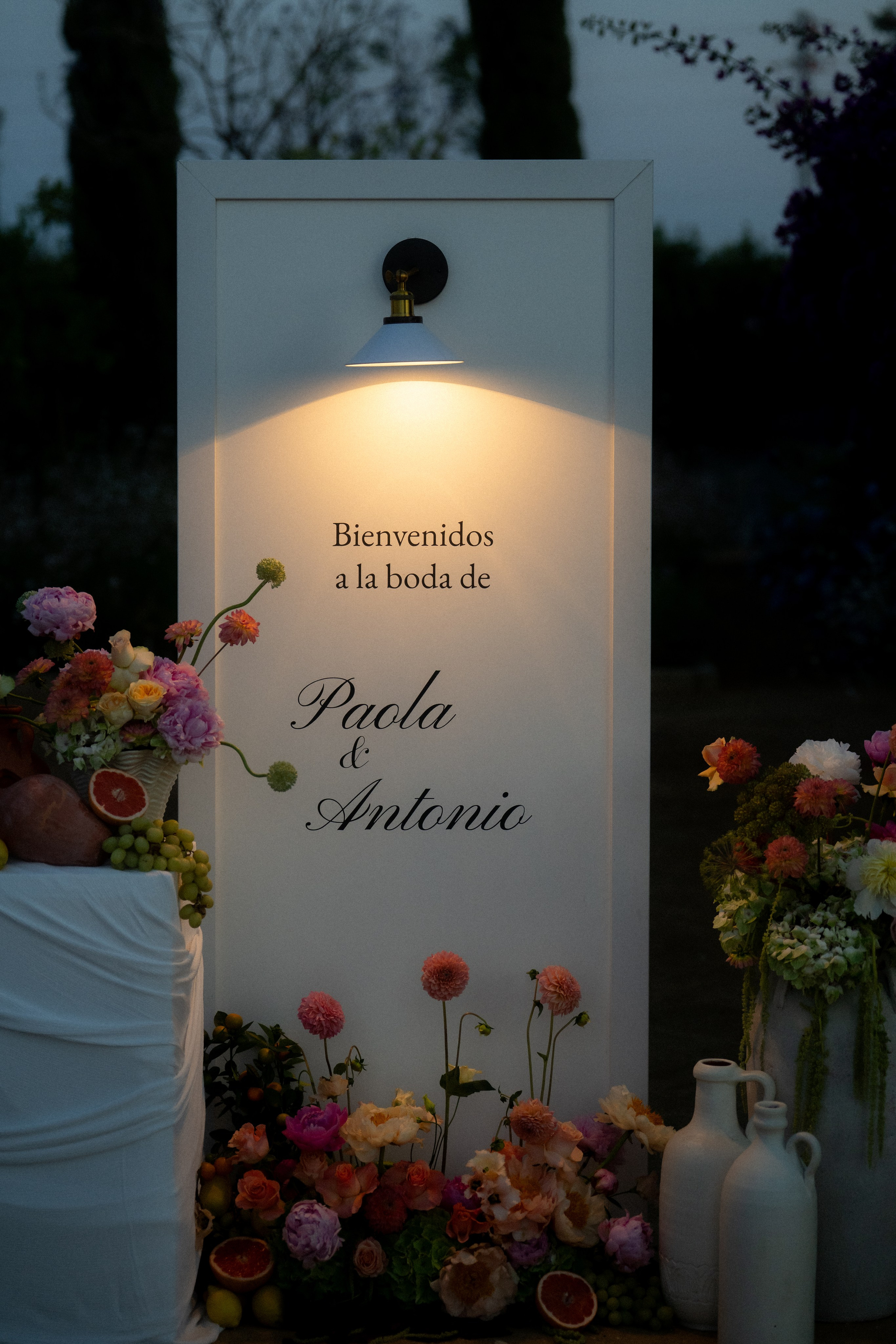 Antonio & Paola. Wedding photographer in Spain