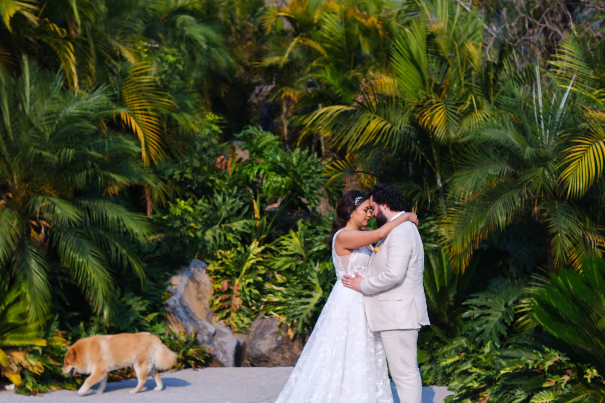 Dany & Rui / Tepoztlan. Wedding and family photographer in Mexico City