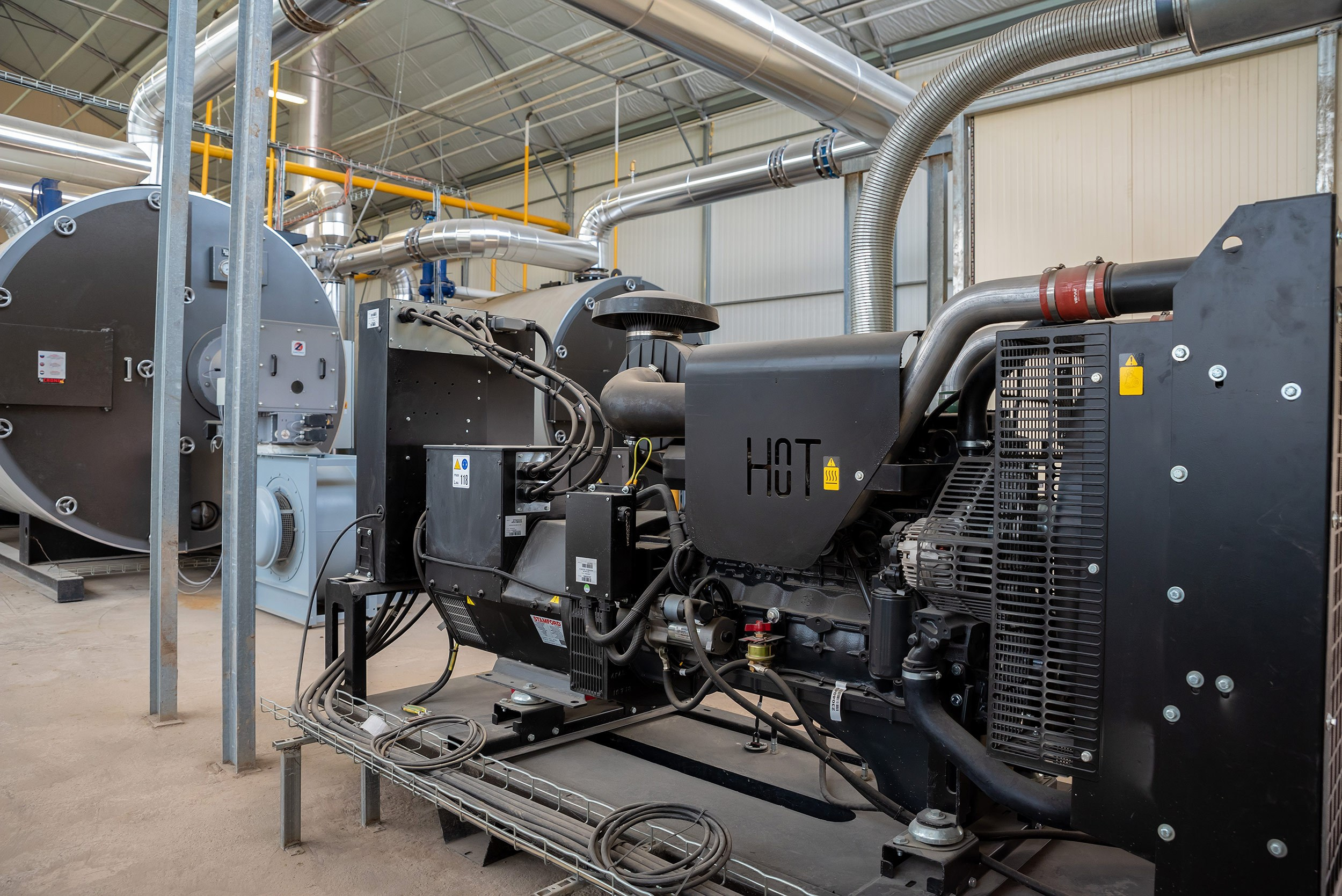 Rockberry. Фотограф в Ереване