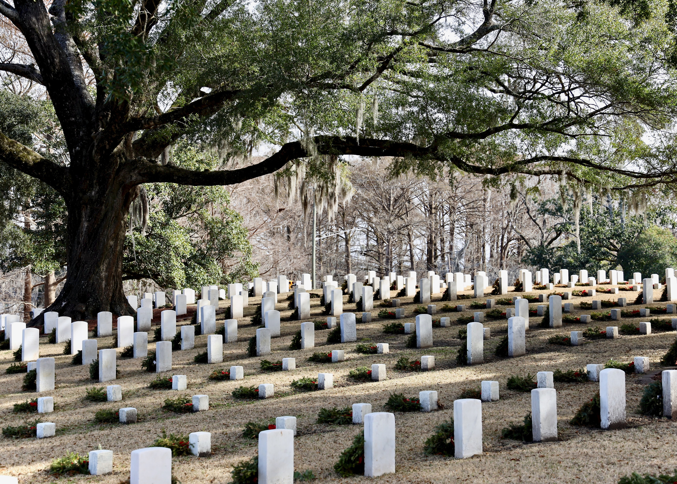 All-Day. Sonny Photos