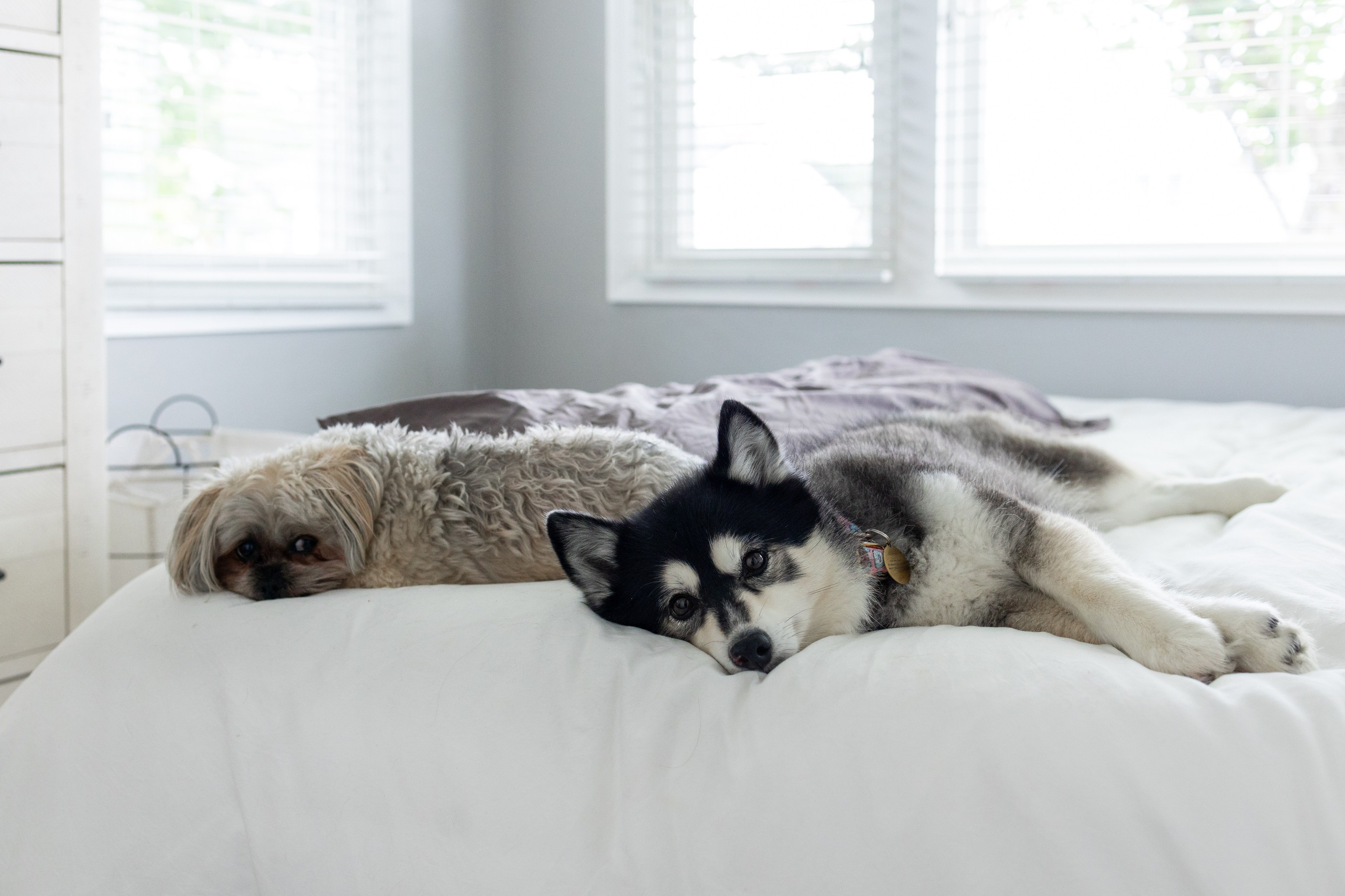 Alexa & Darren. Wedding Photo & Video
