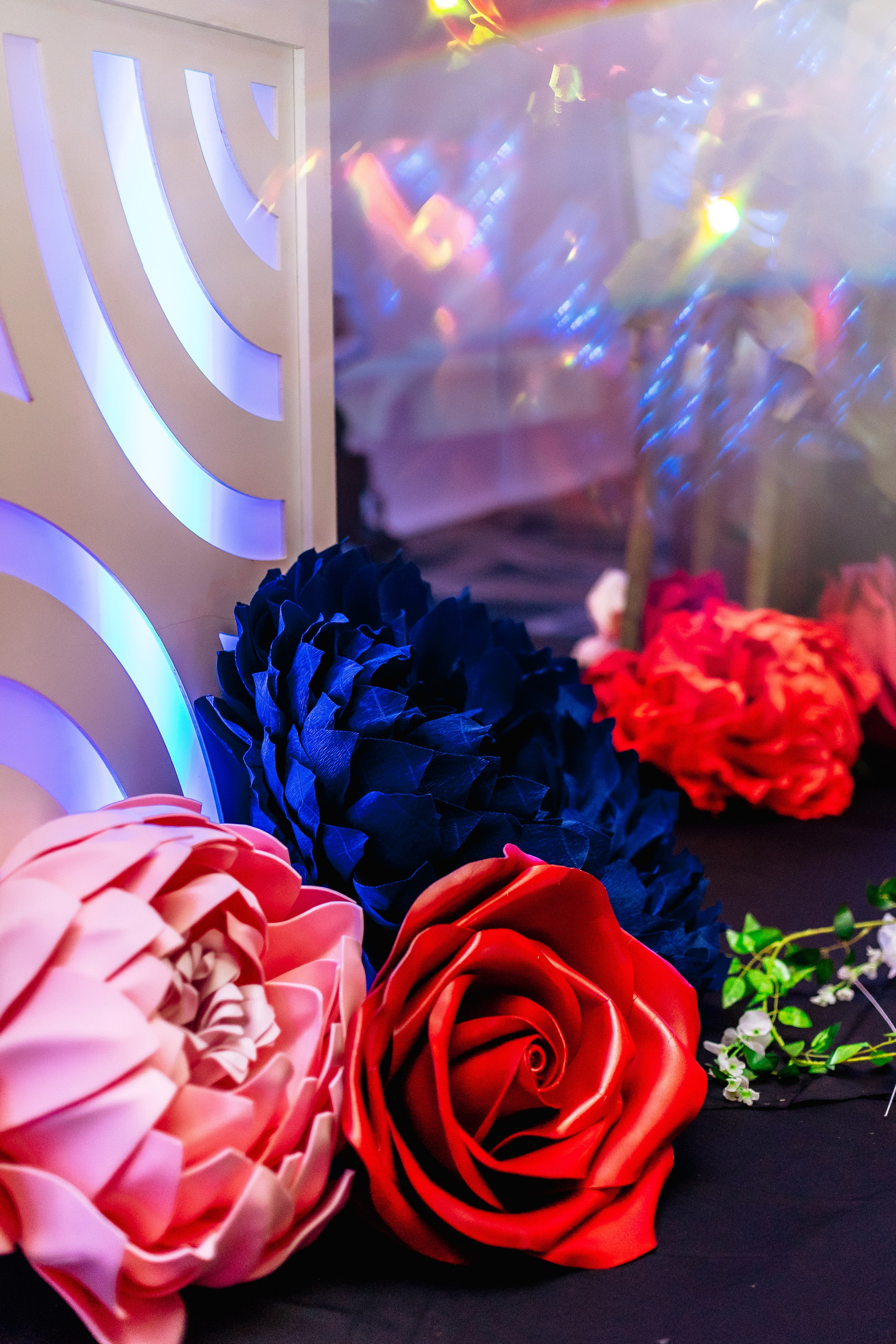 Event. Alya Leto Photographer