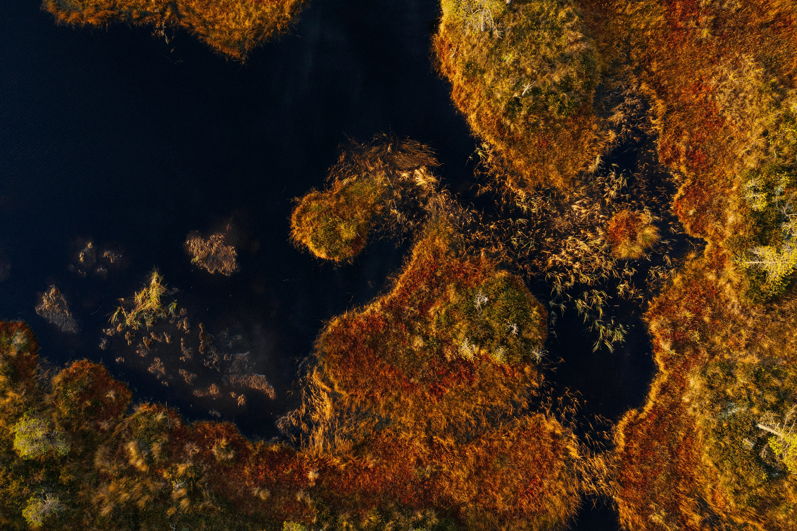 Artjom Kutuzov Photography