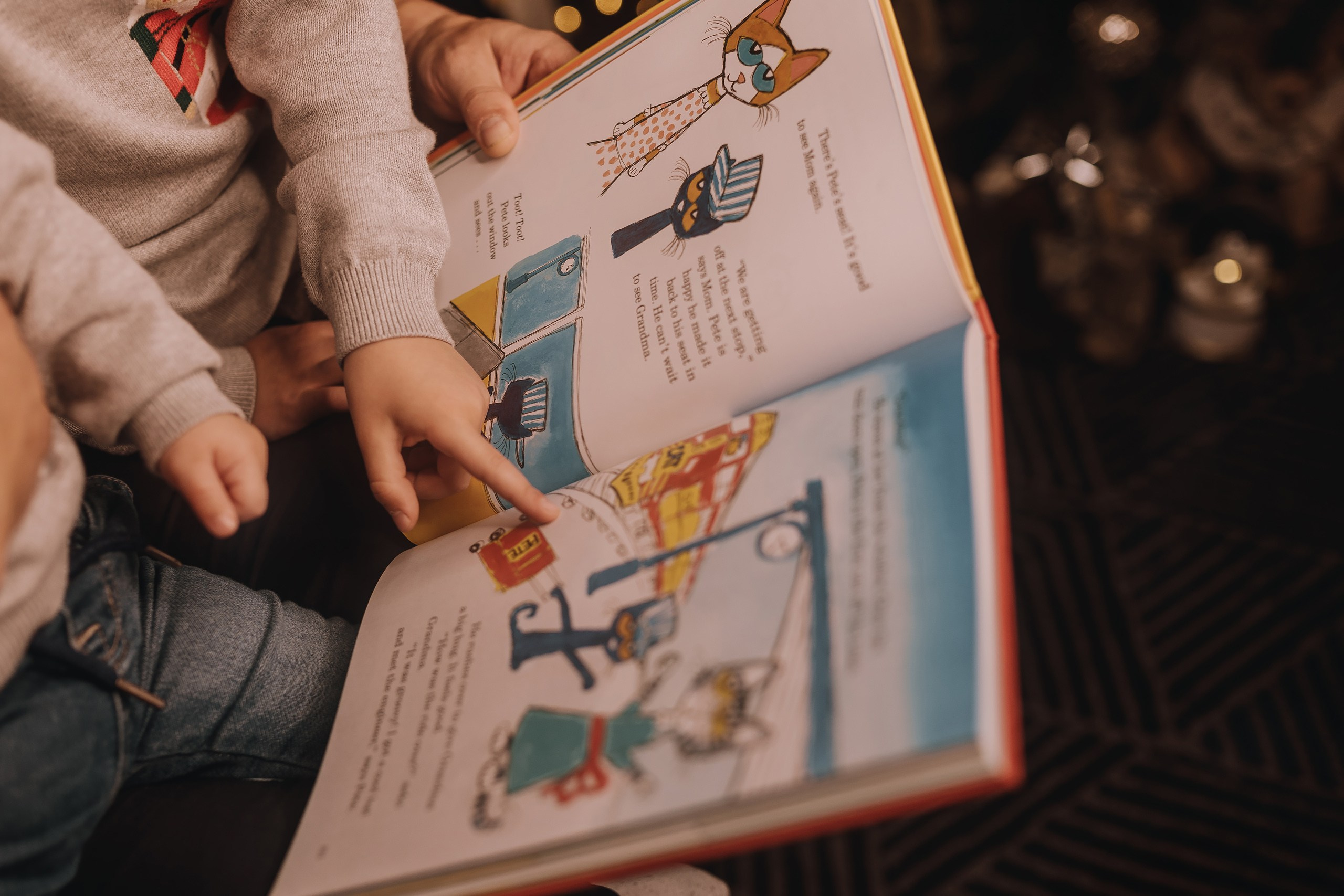 26.11.2023 Christmas Photoshoot. Wedding family event photographer in Chicago Nick Yushevich