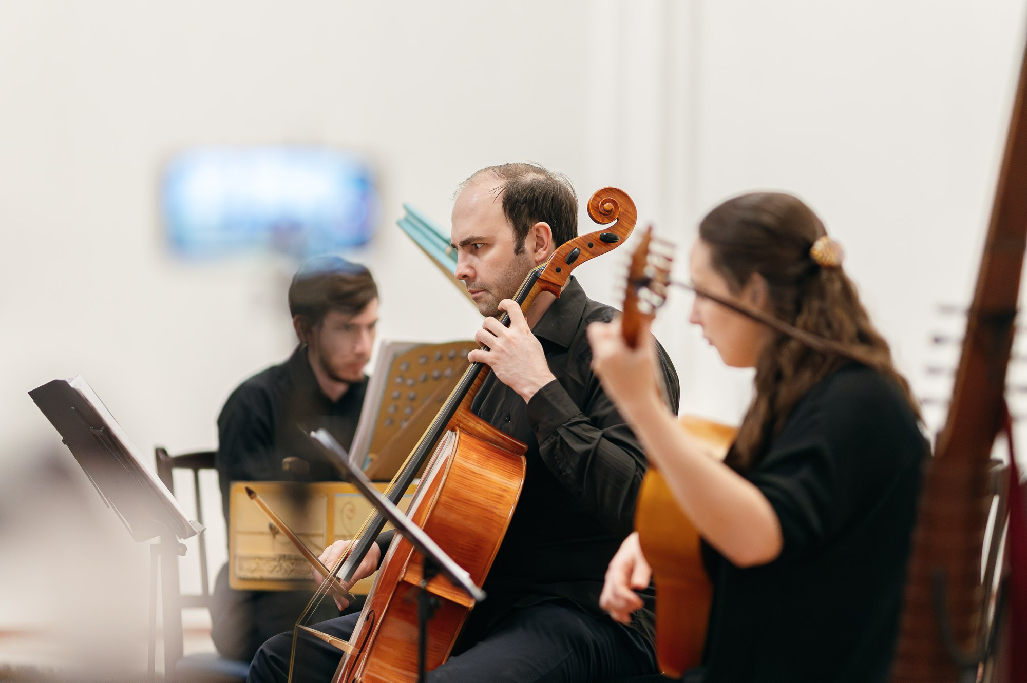 Concerts. Alexander Kabanov Photographer