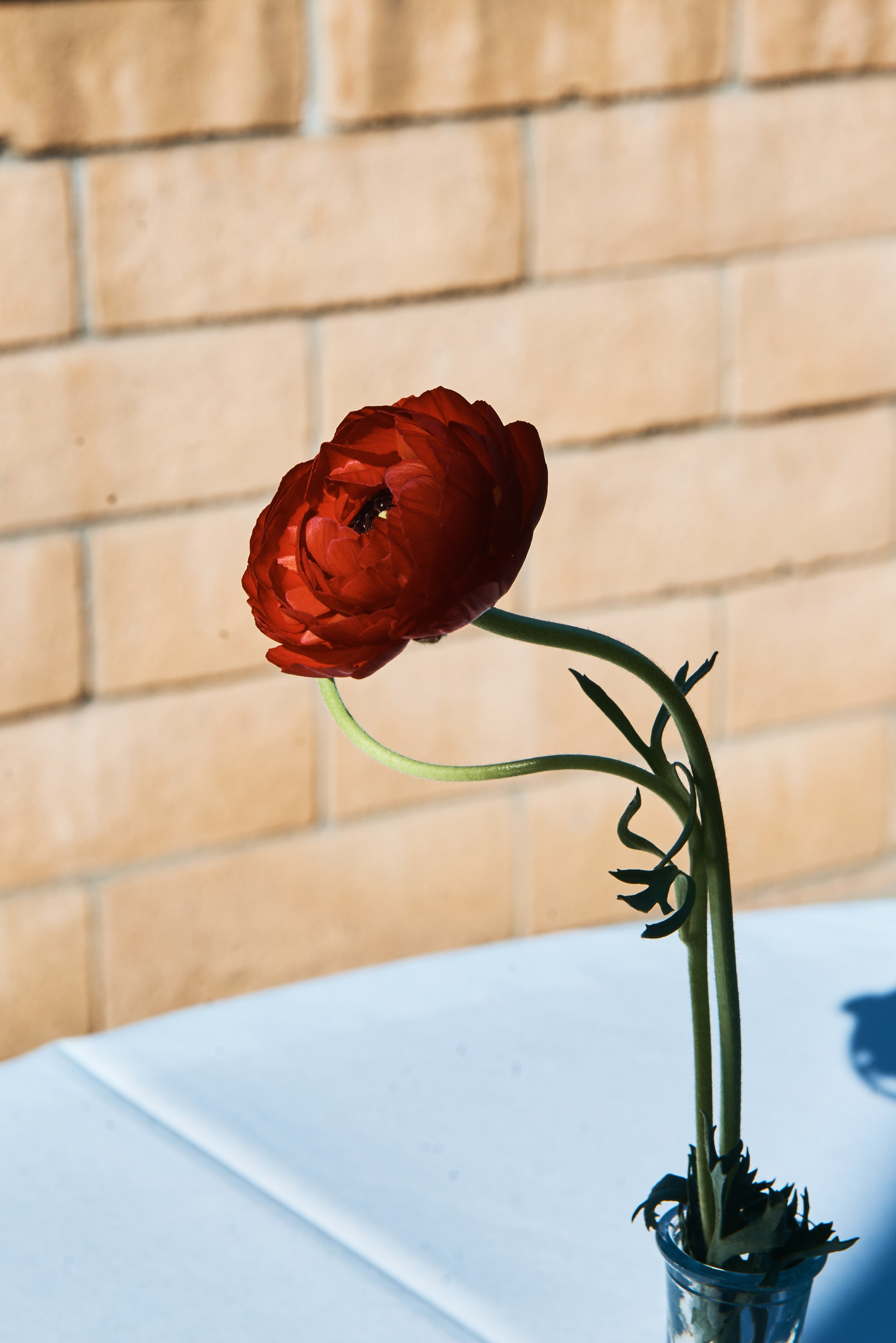 Madinah and Thariq Magical Engagement Photos in Los Angeles. Portrait photographer Natalia Isavtseva Los Angeles LA