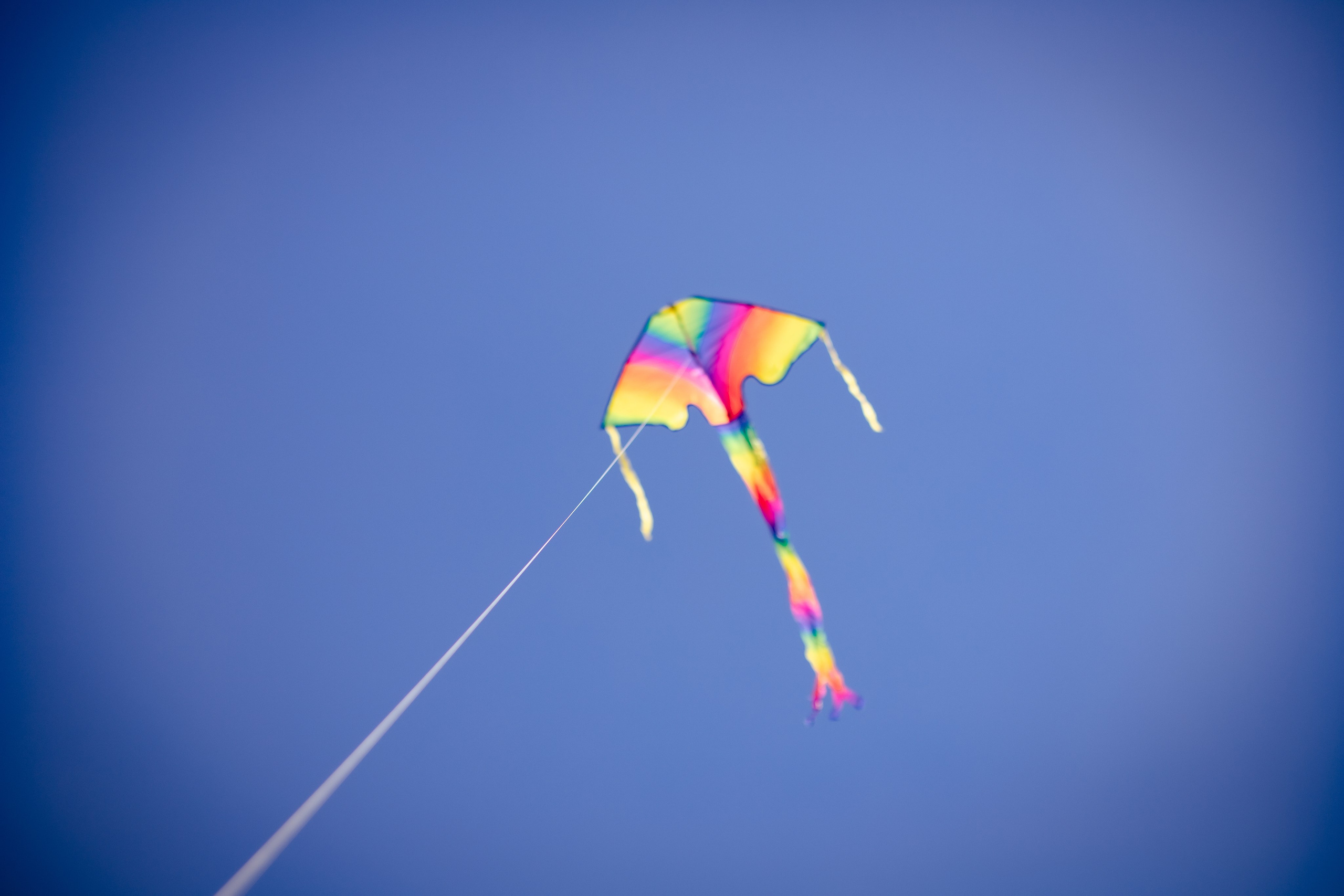 Kite. Family and Portraits photographer Diana Andoni