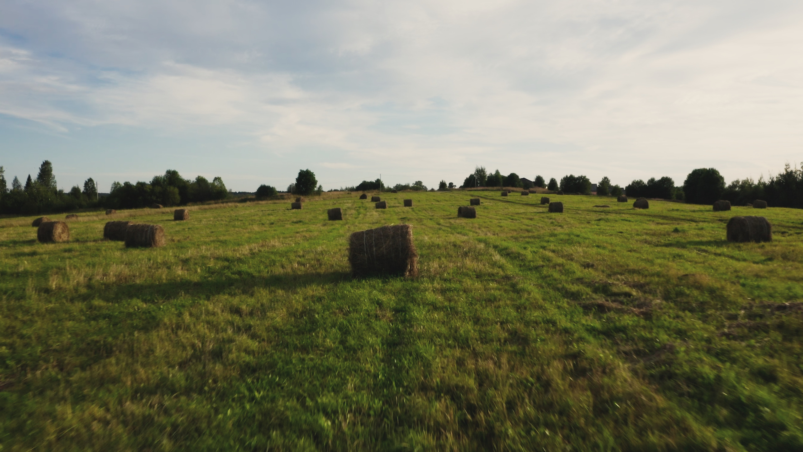 Пшеницын — видеопродакшн