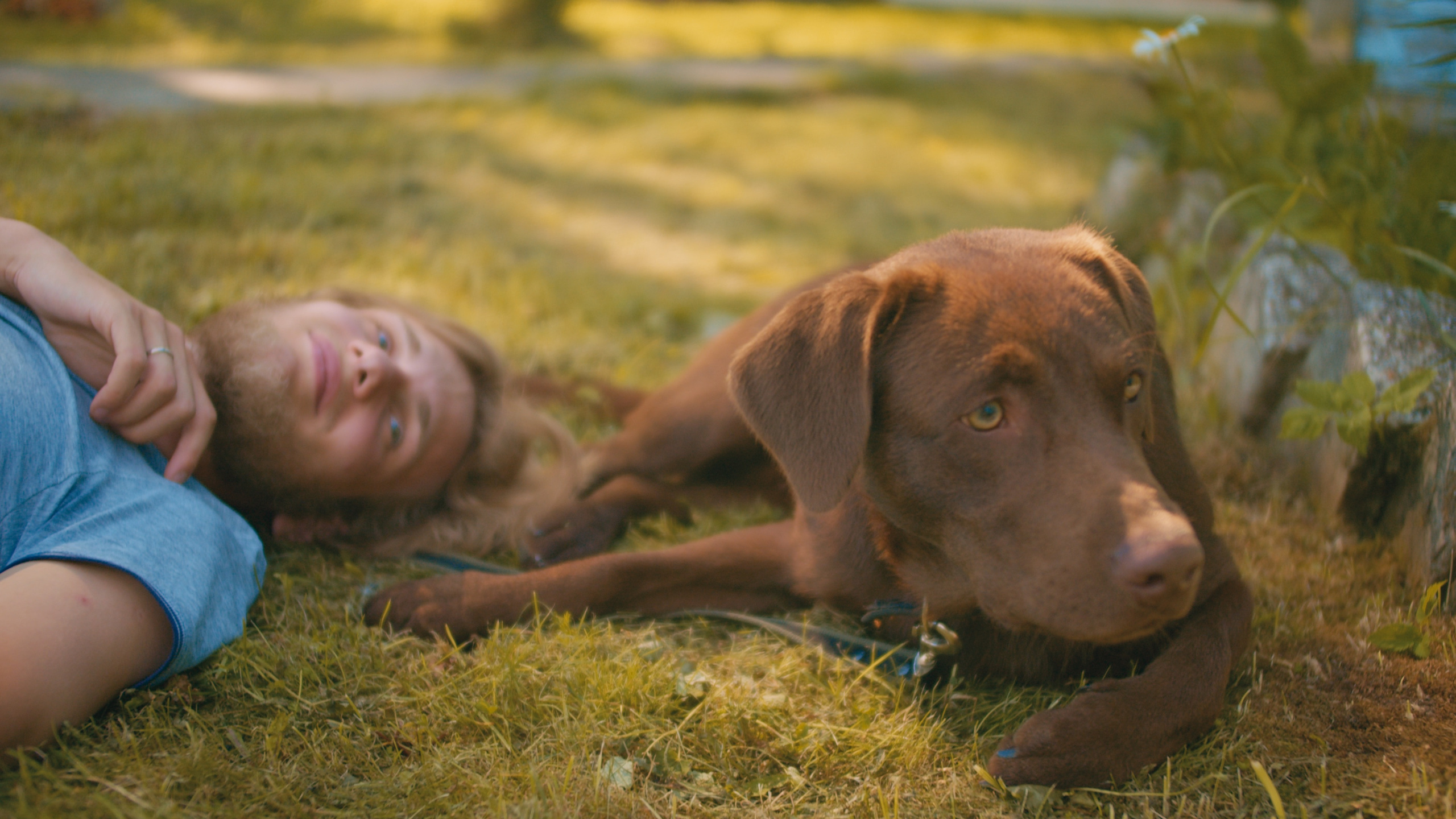 Пшеницын — видеопродакшн