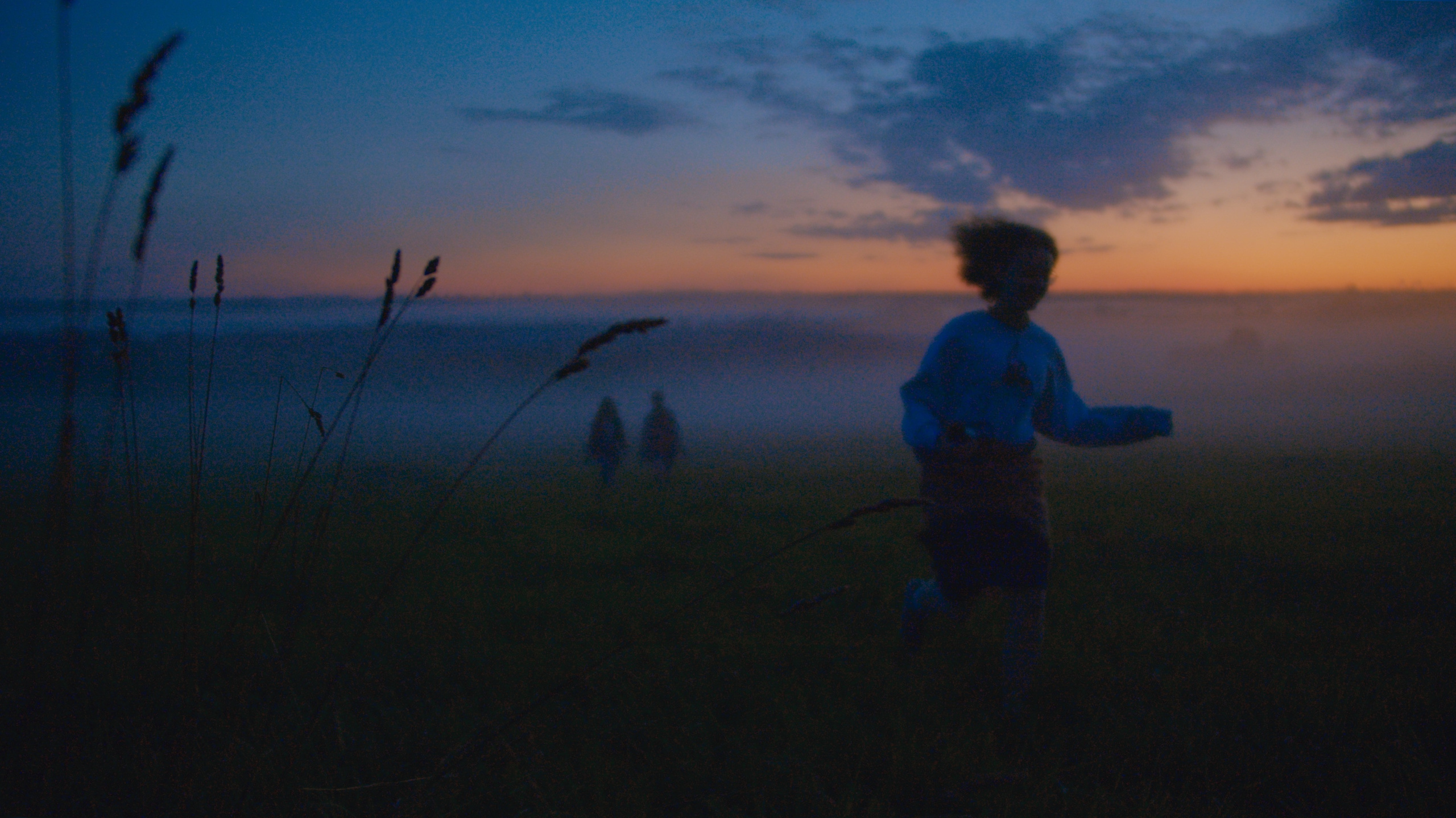 Пшеницын — видеопродакшн