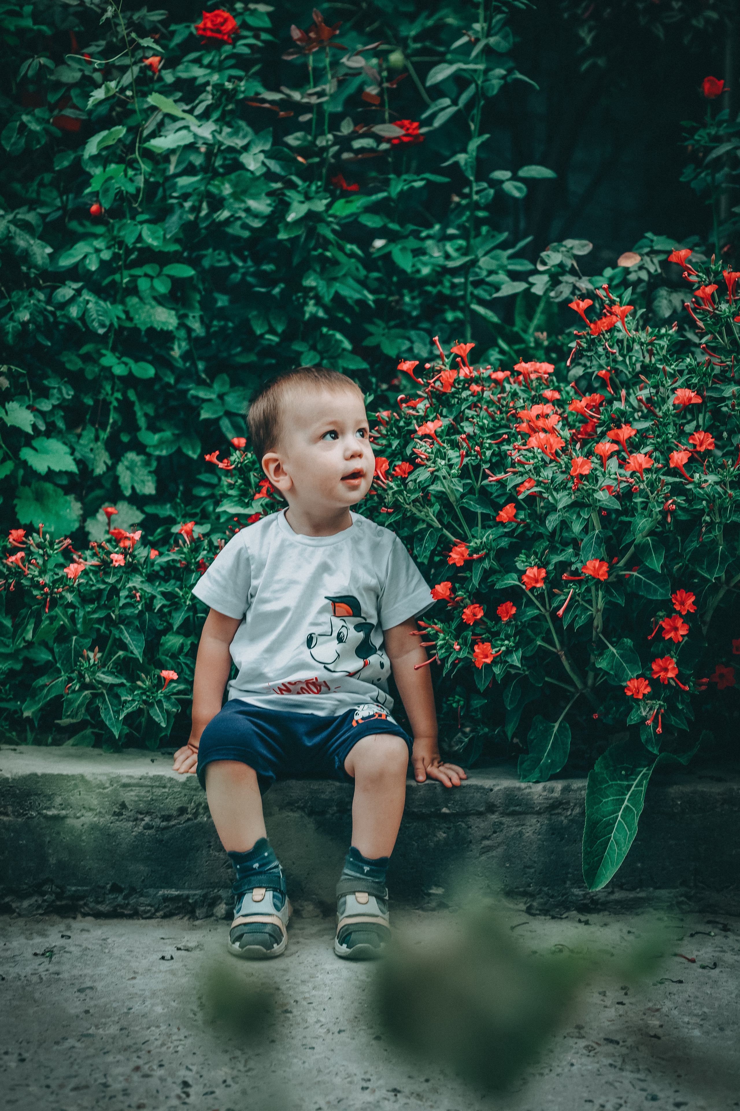 Fotografia dziecięca. Fotograf w Warszawie Lilia