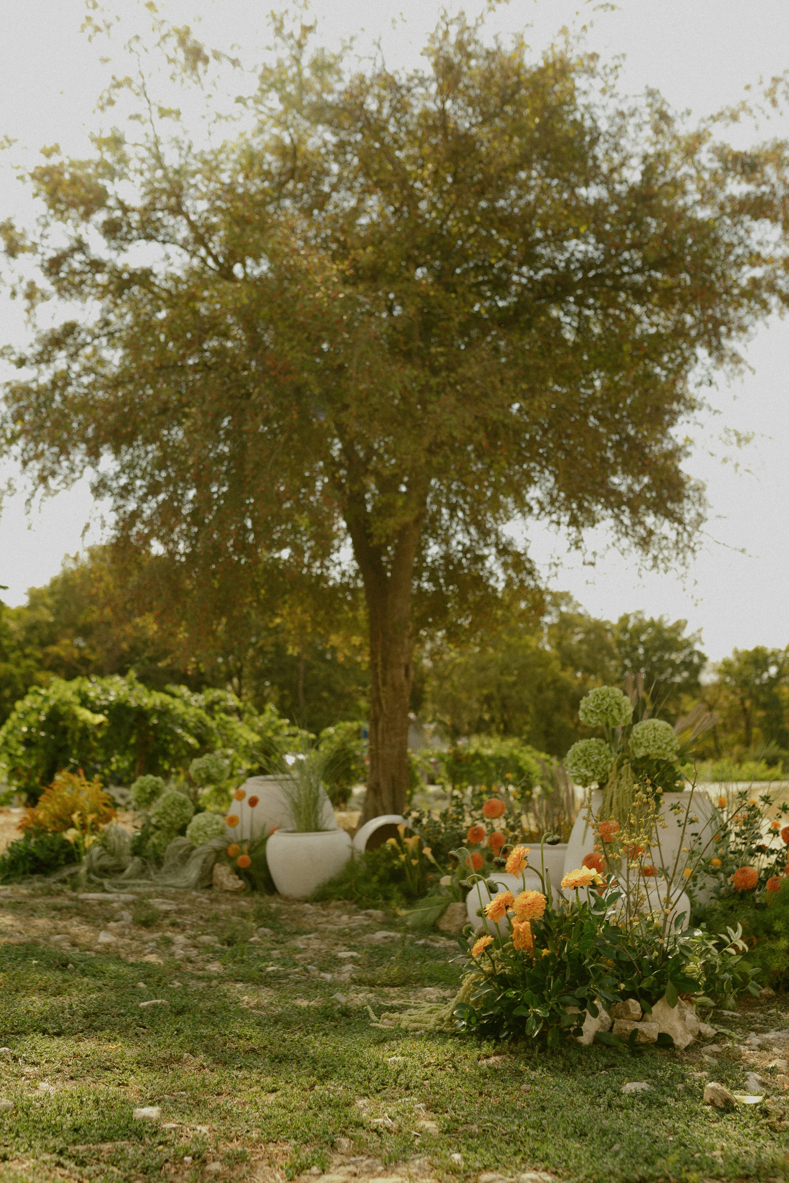 Yulya | Dima. Мария Гуржеева