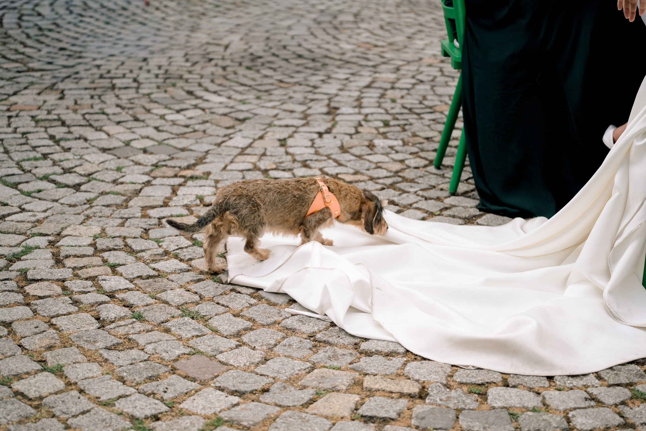 Hochzeit im Winzerhof Stahl Hochzeitsfotograf Würzburg