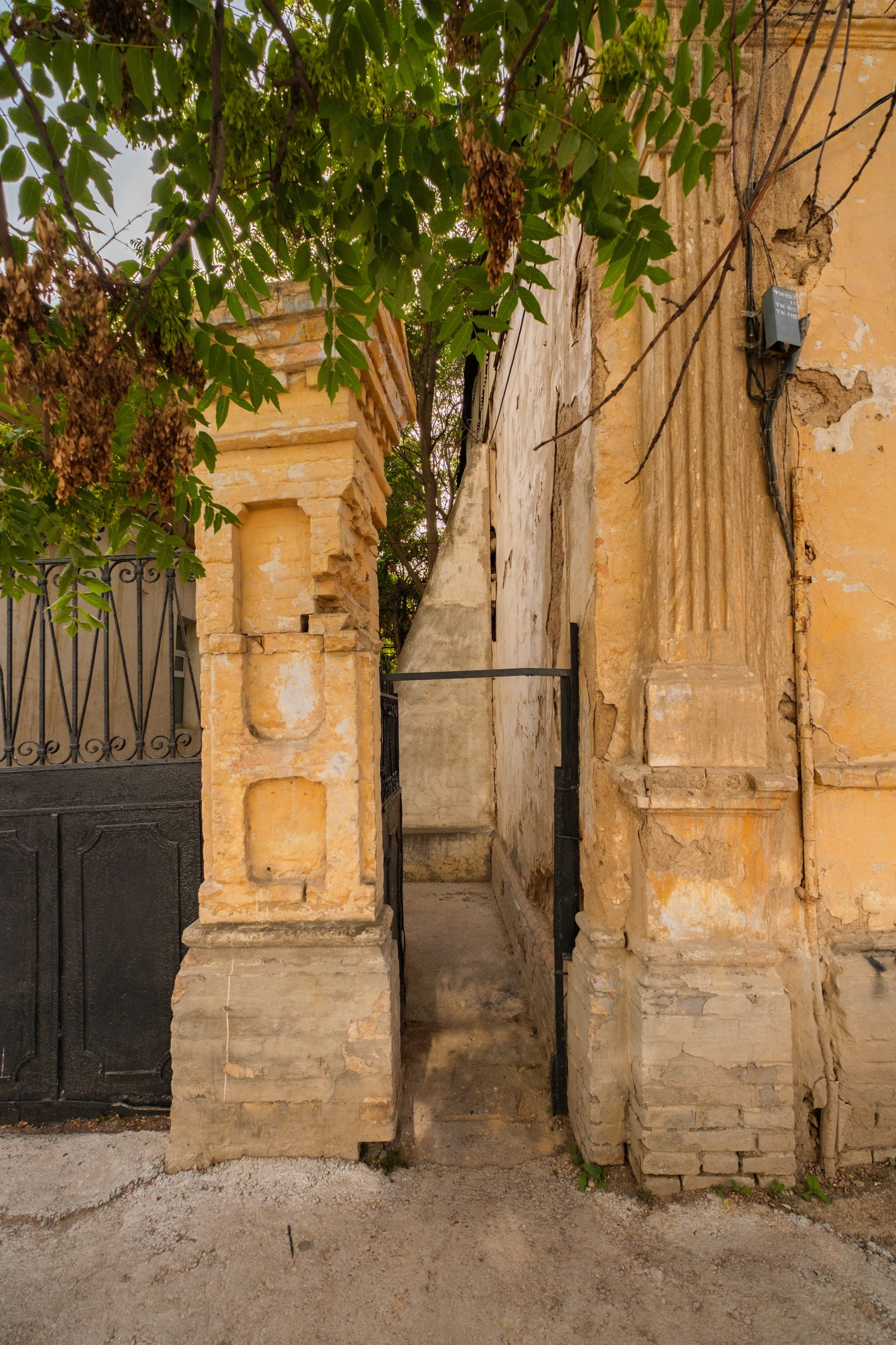 SIGMA 10-18mm DC DN (X-mount). Фотограф Григорий Кравец