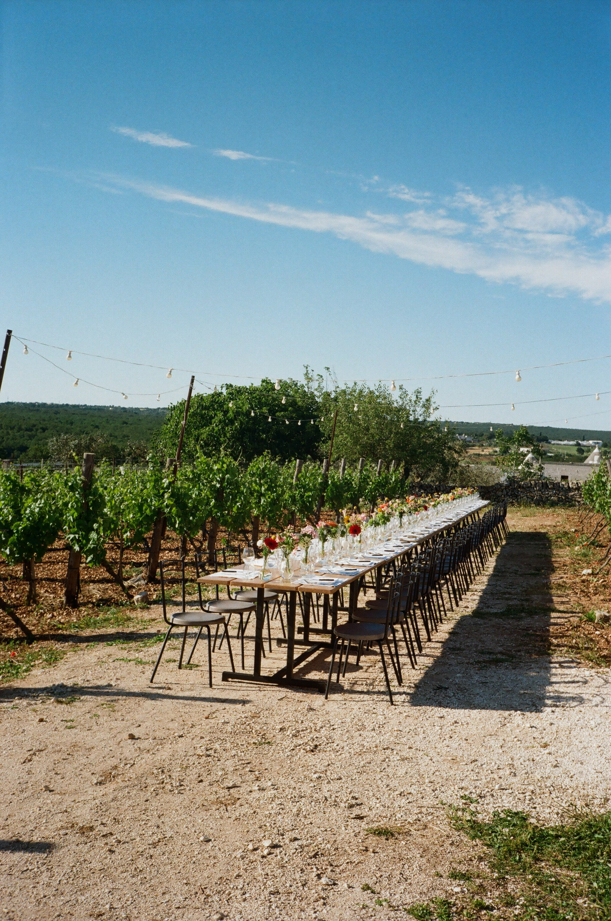 Stephanie & Christian film photos. Весільний фотограф Вікторія Саврук