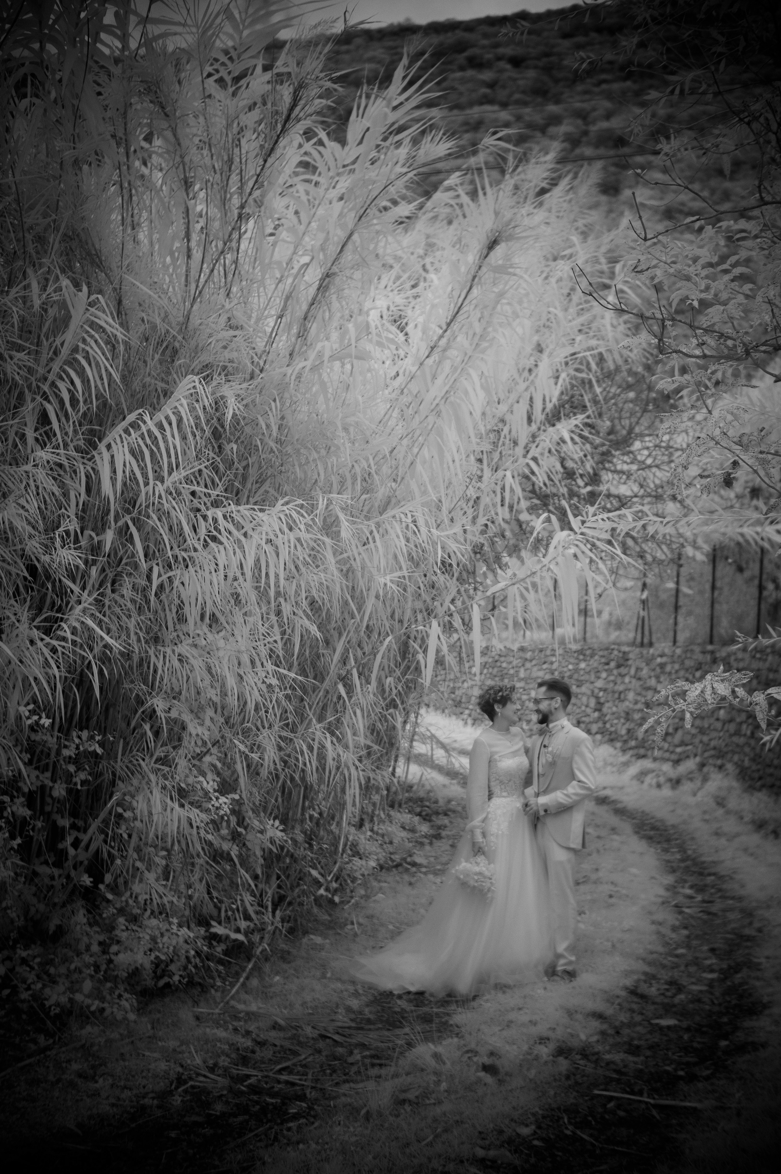 Infrarossi. Fotografia e video