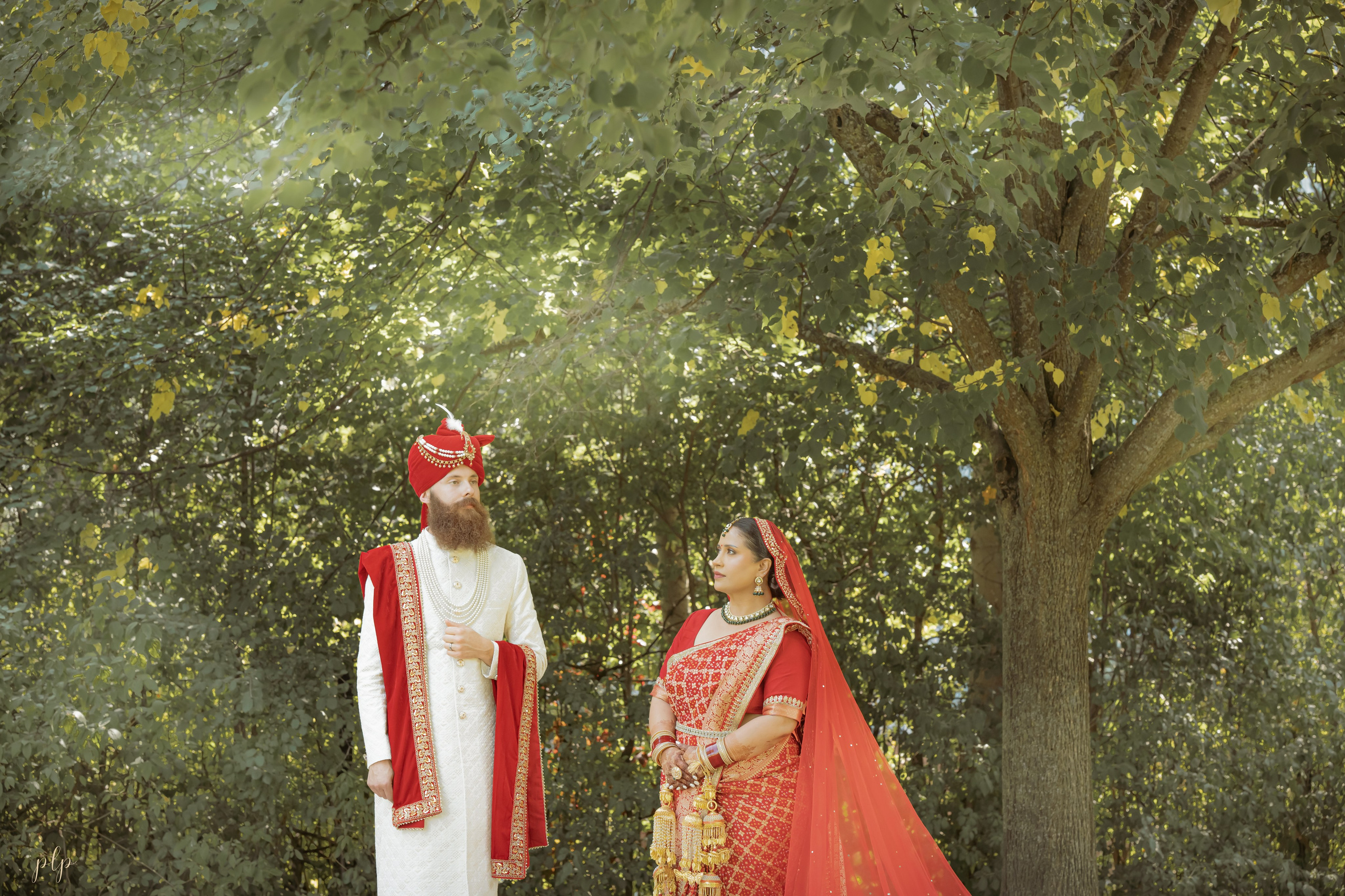 Arti & Dan. Wedding Photographers and Filmmakers