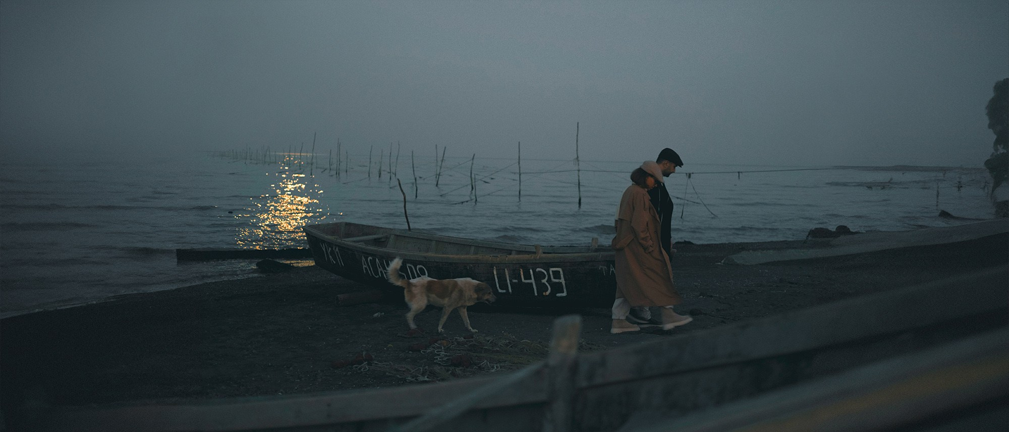 Kəbutər-Tərlan. Bakıda Peşəkar Tədbir, Love Story və Təbiət Fotoqrafı — Elşən Baba