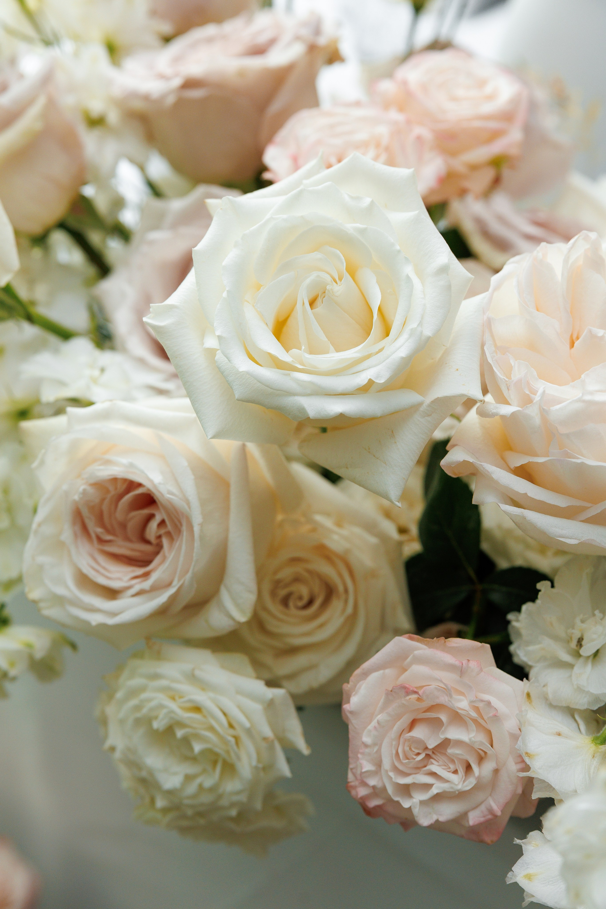 Y&V. Raddison Blu. 08.08.2025. Fotograf ślubny i rodzinny w Krakowie Yana Klymova