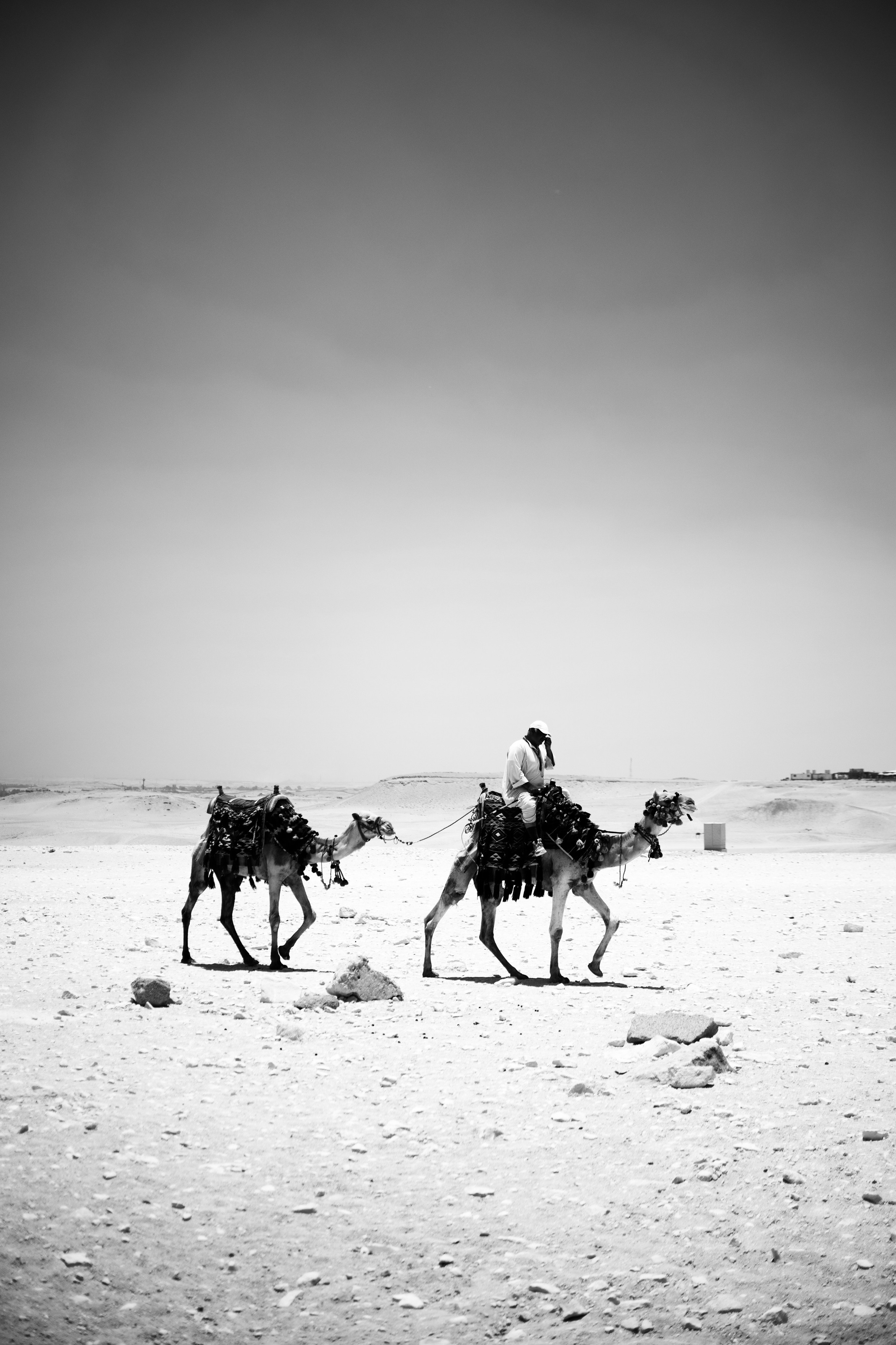 Adventure. Photographer Sri Lanka