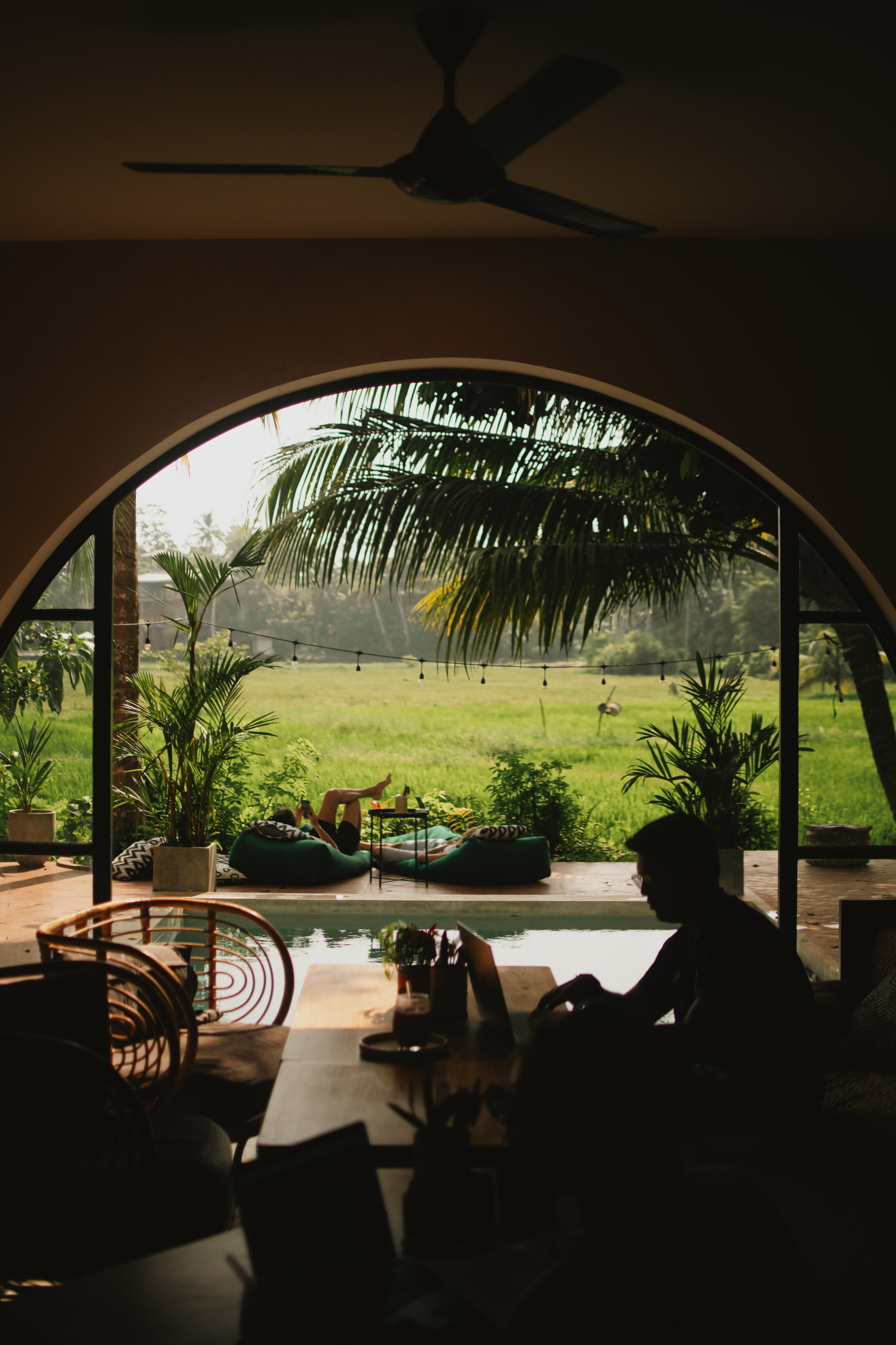 Black honey. Photographer Sri Lanka