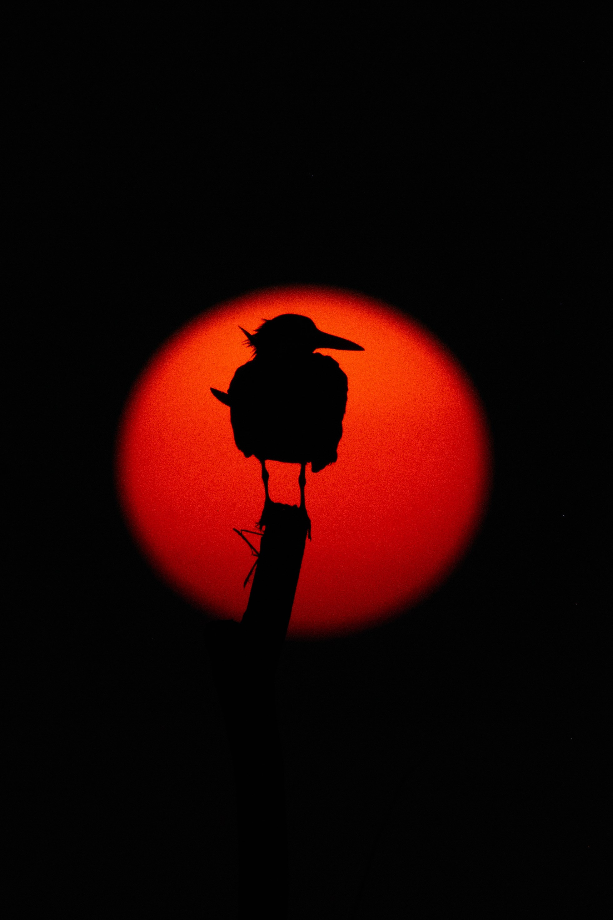 Seven Years on Sri Lanka’s South Coast. Photographer Evgeniia Zorina