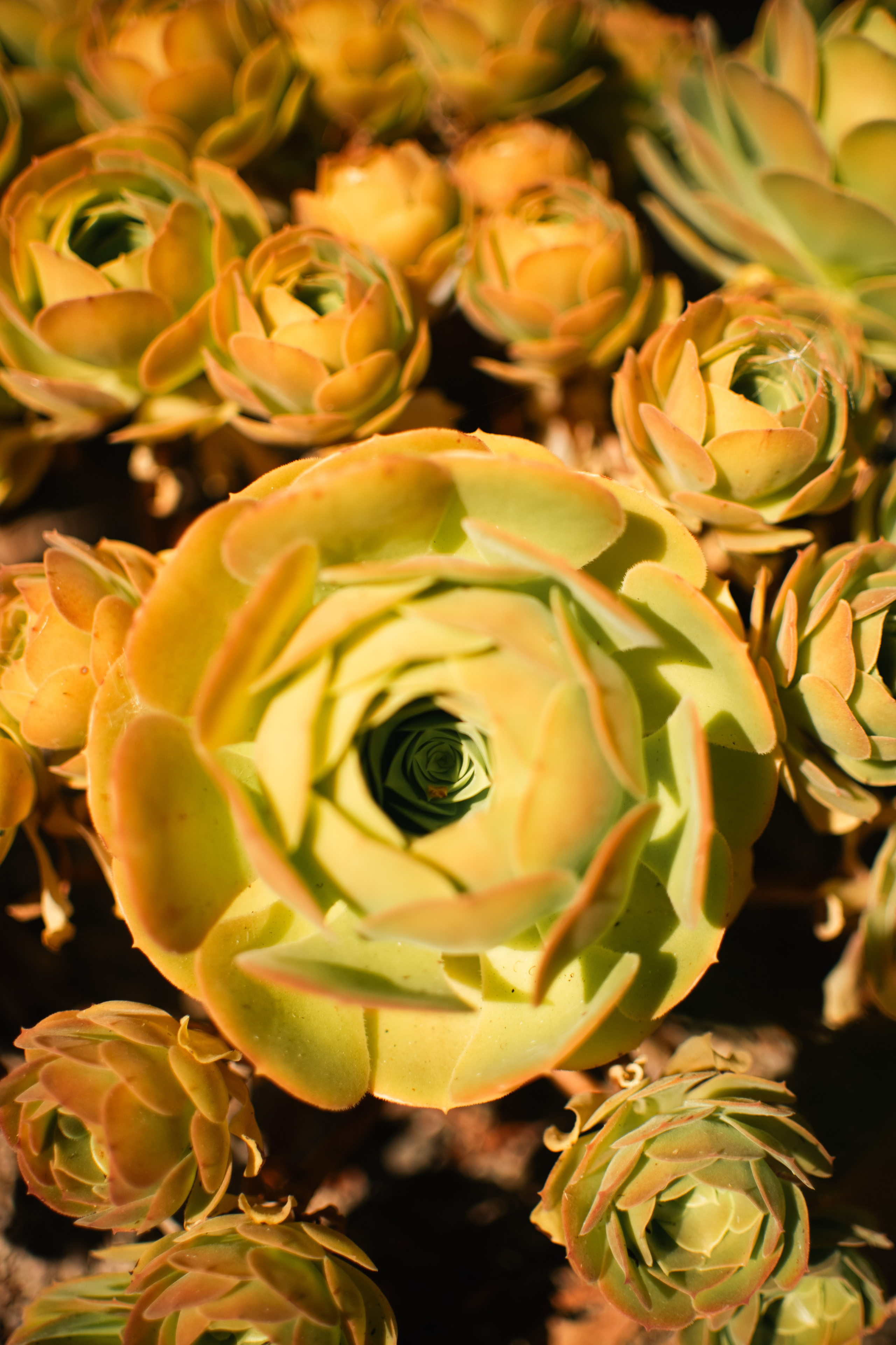 Adventure. Photographer Sri Lanka