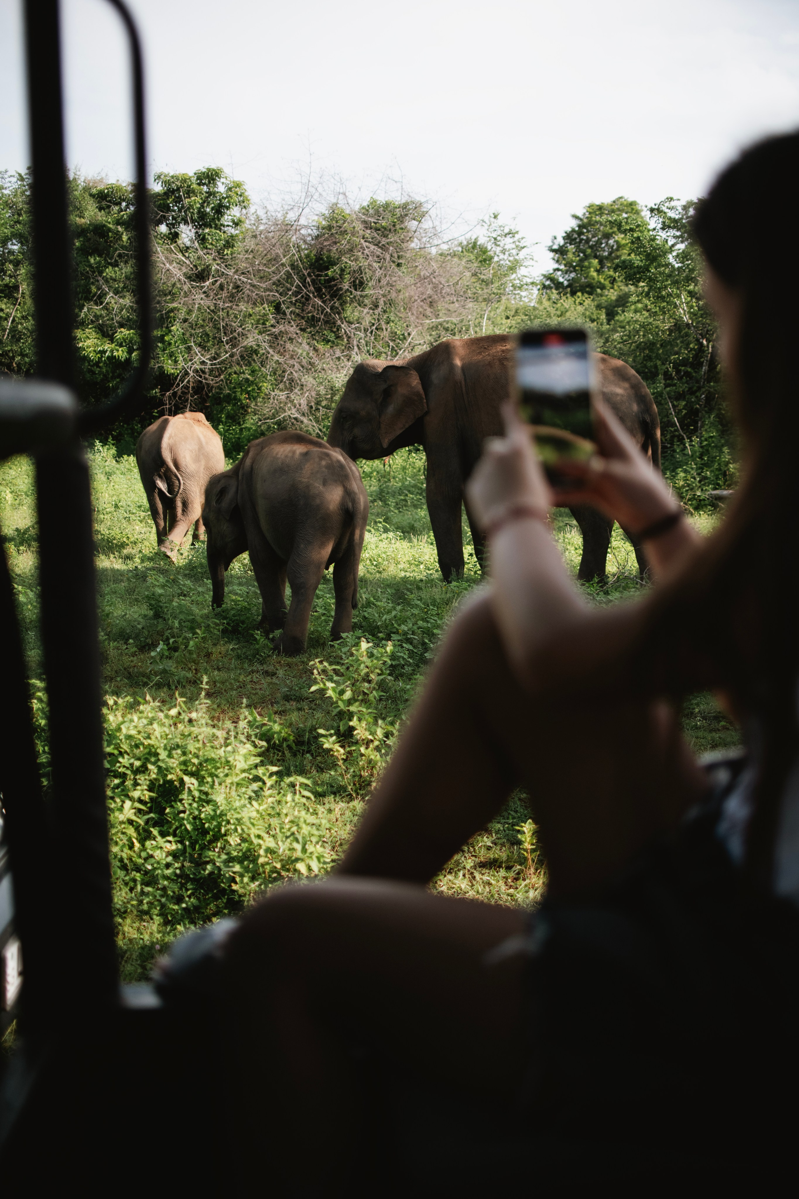 Safari. Photographer Sri Lanka