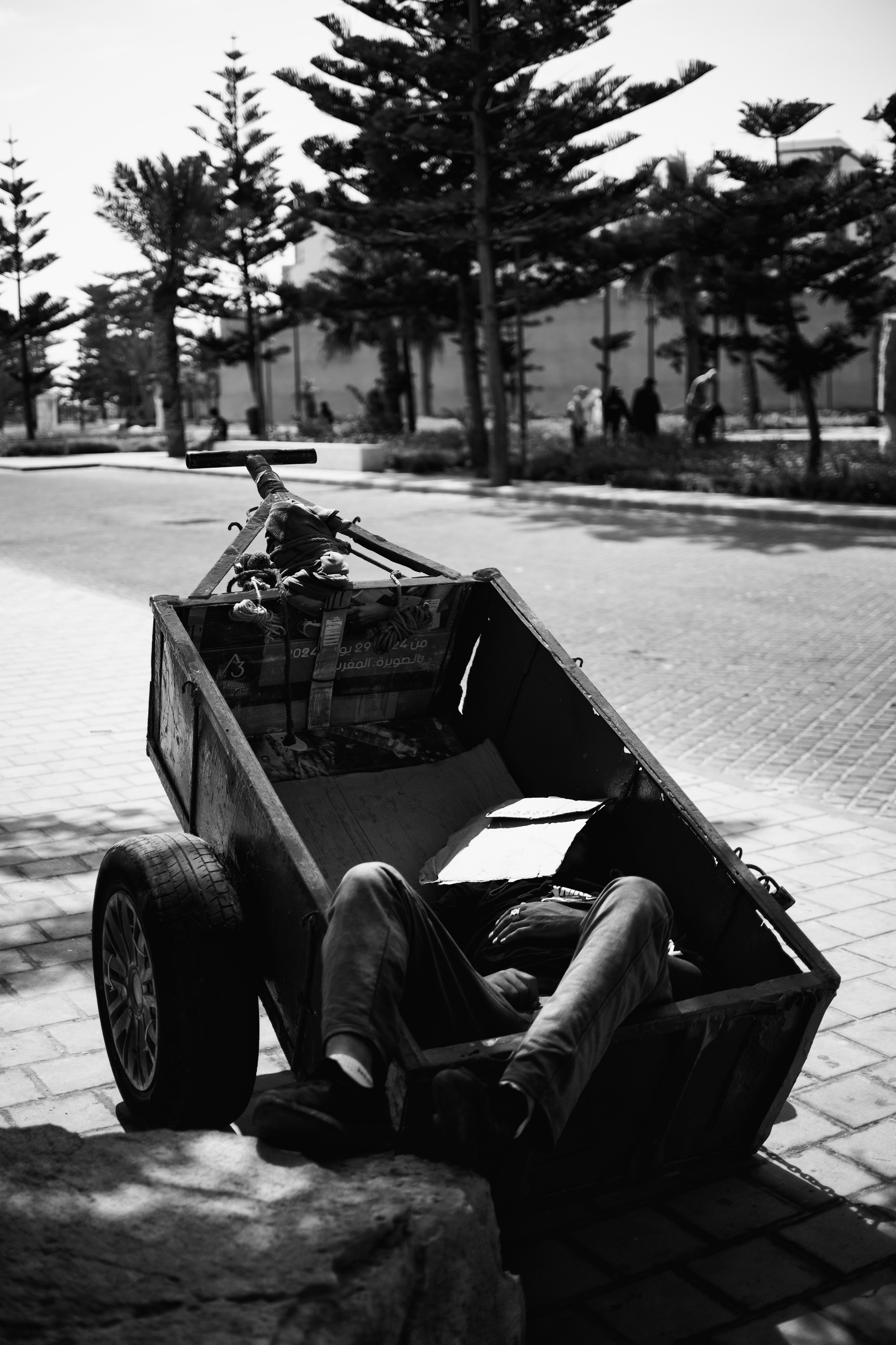 Adventure. Photographer Sri Lanka