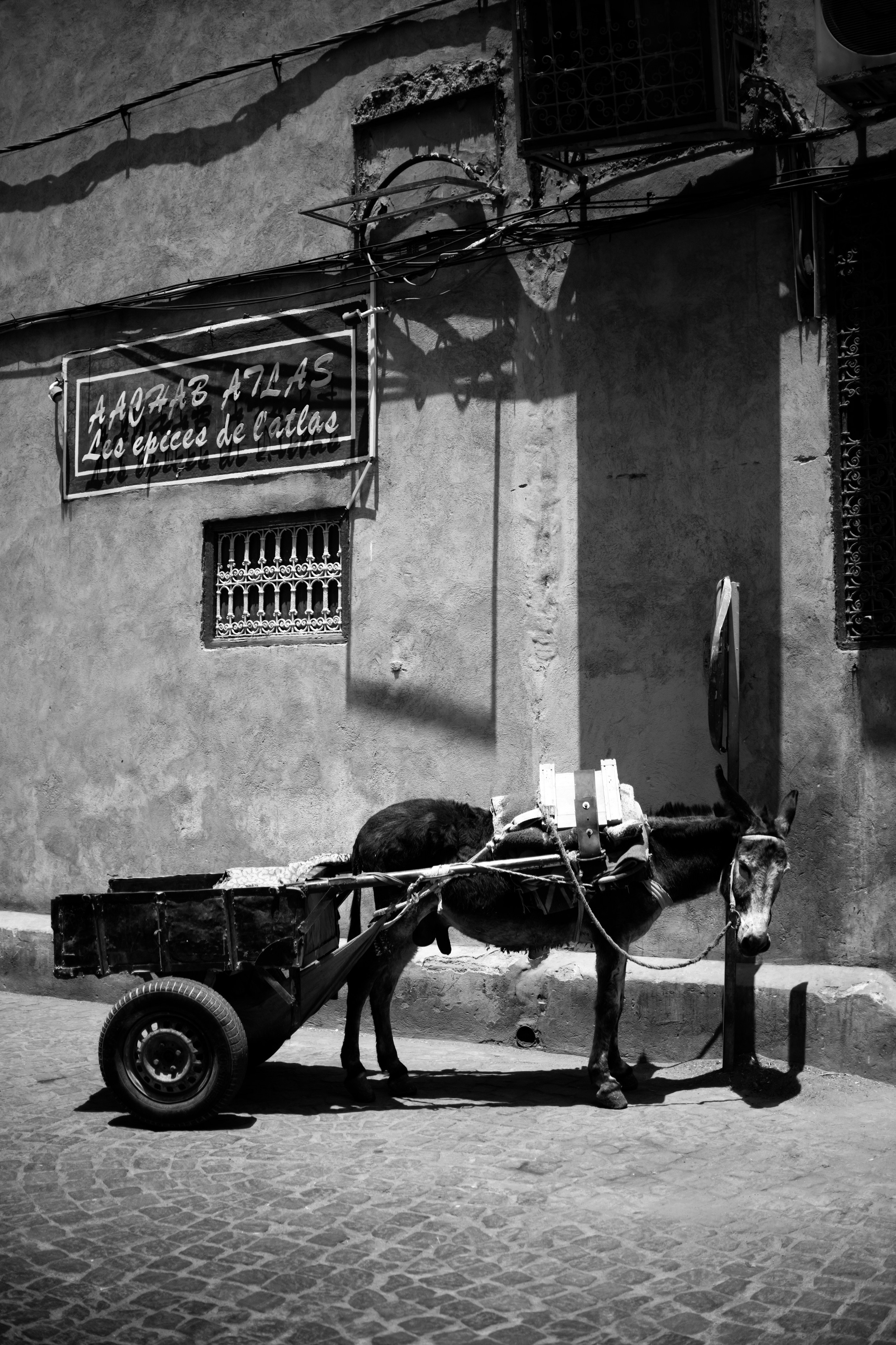 Adventure. Photographer Sri Lanka