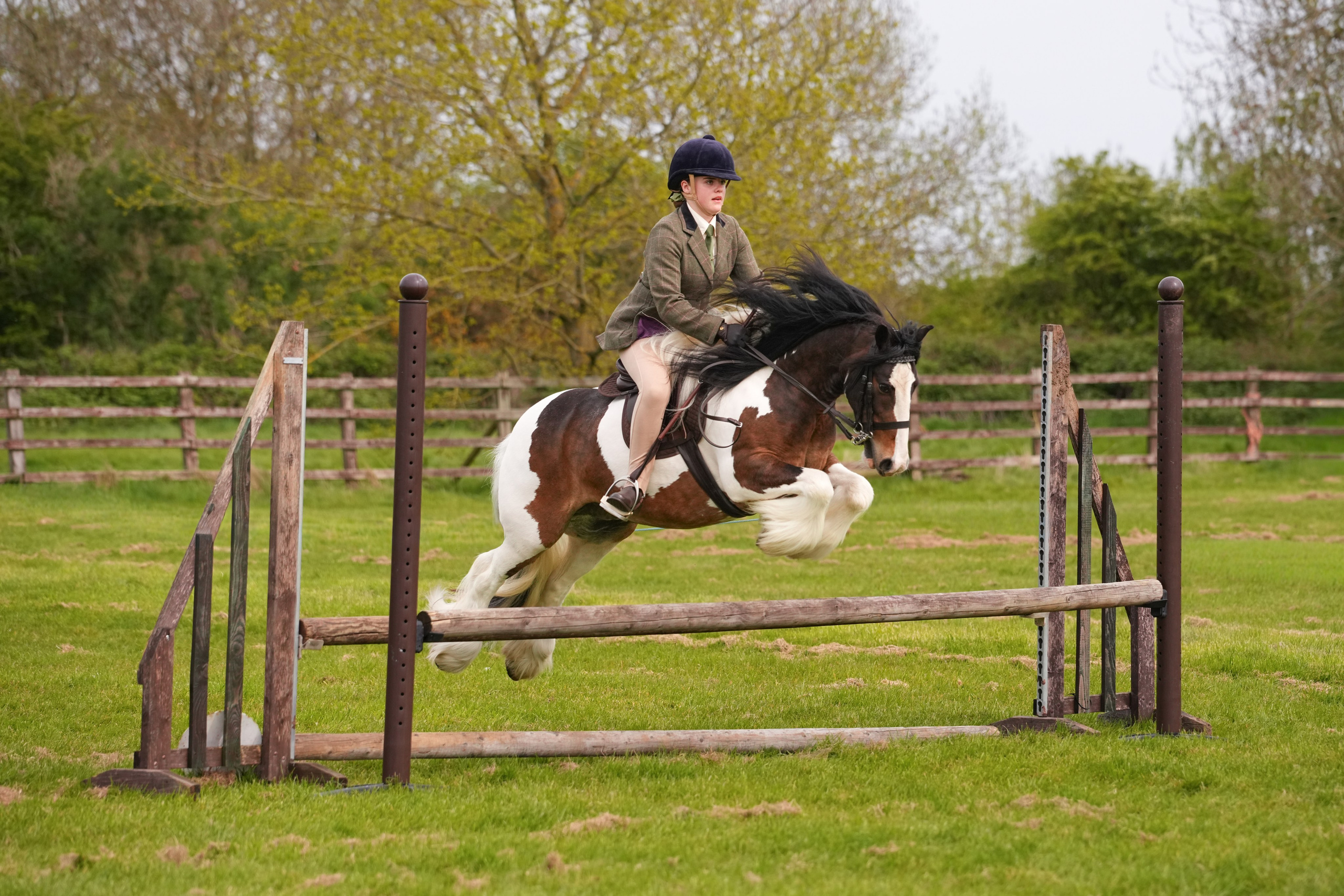 Show Jumping Photography in Leicestershire | Equine Action Shots by El. Leicestershire Equine Photography by El | Authentic Equine Portraits & Events