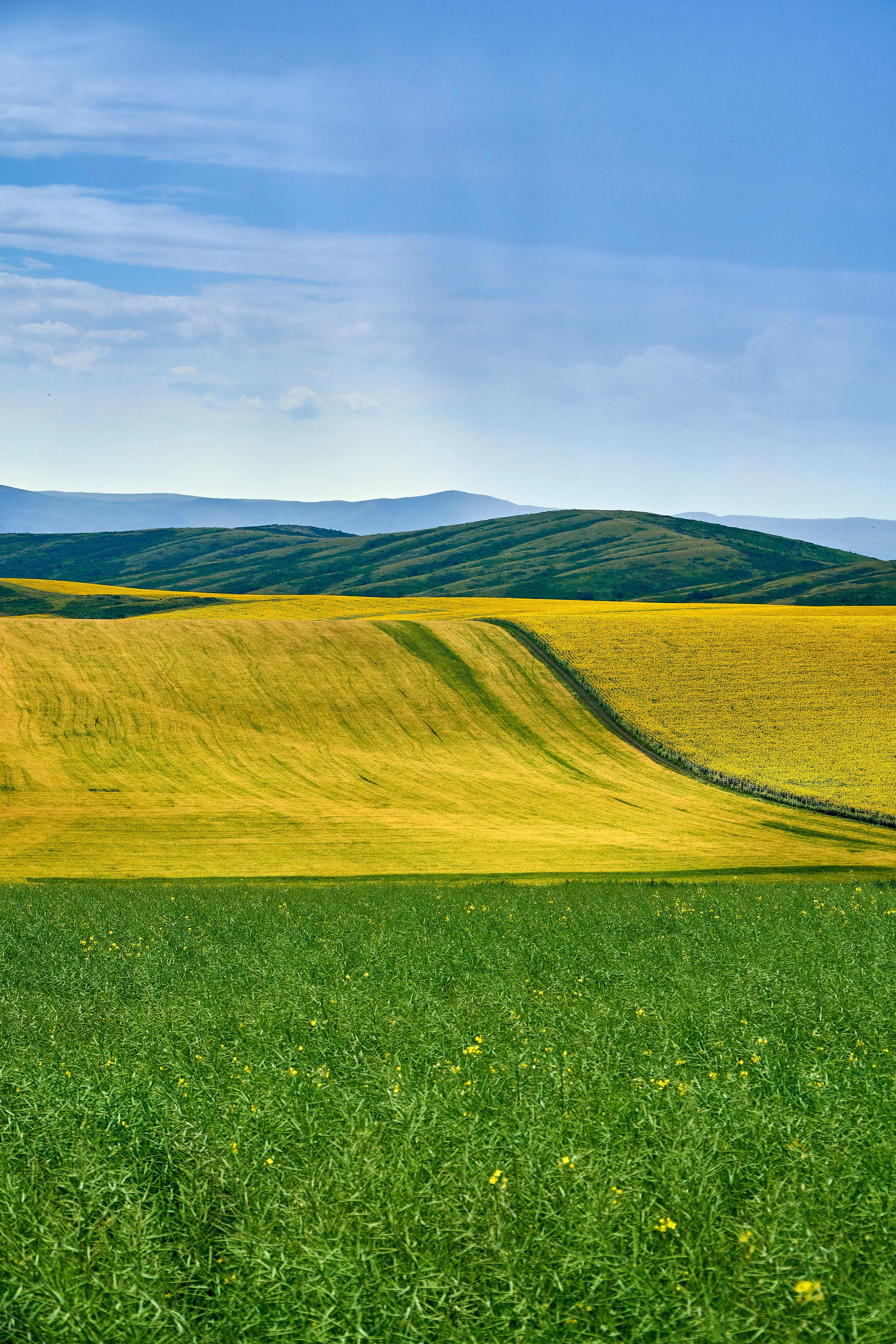 Buchtarma (Kazachstan). Andriej Szypilow - Fotografia & Wideografia