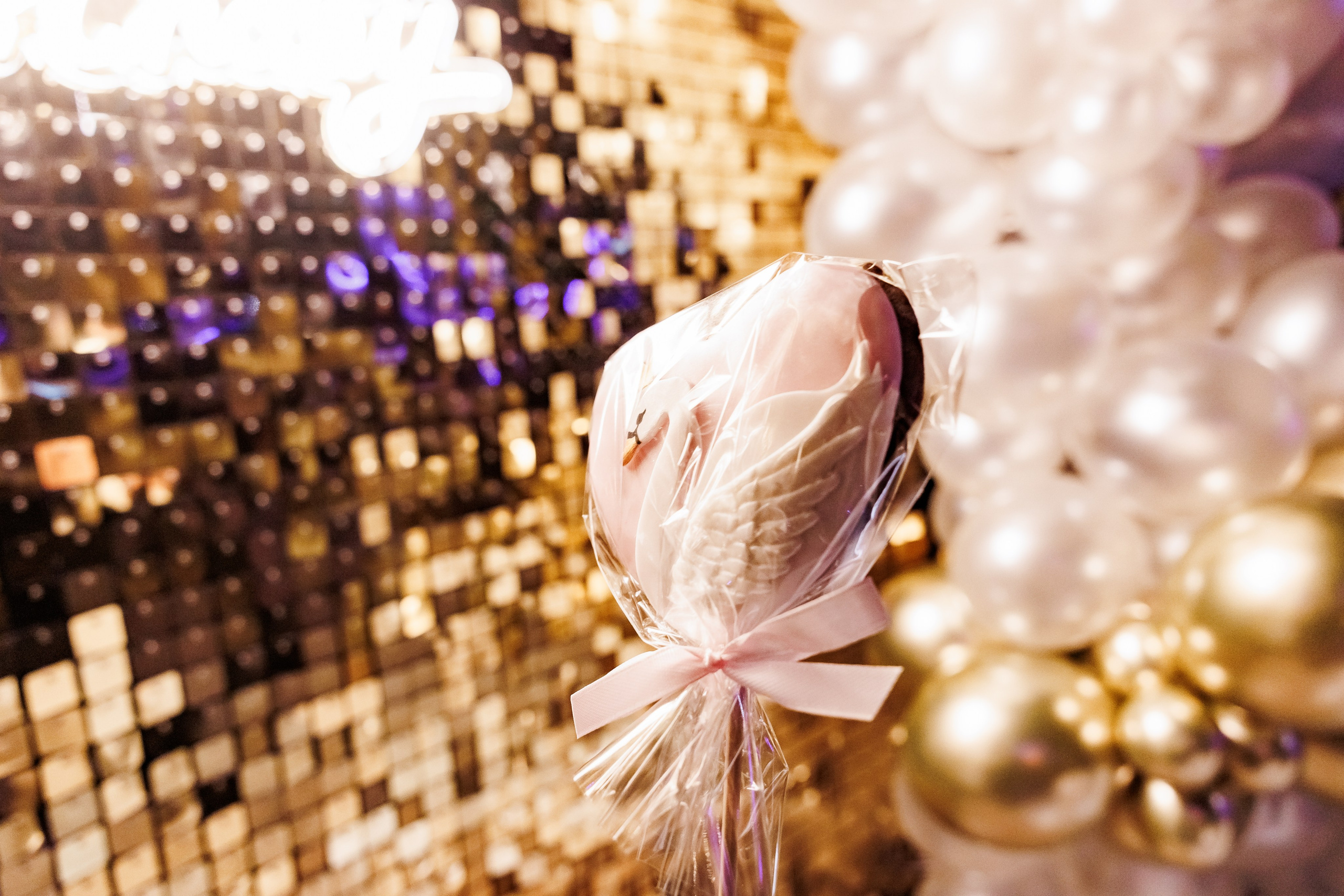 Честит Рожден Ден. Фотограф Ирина Йотова