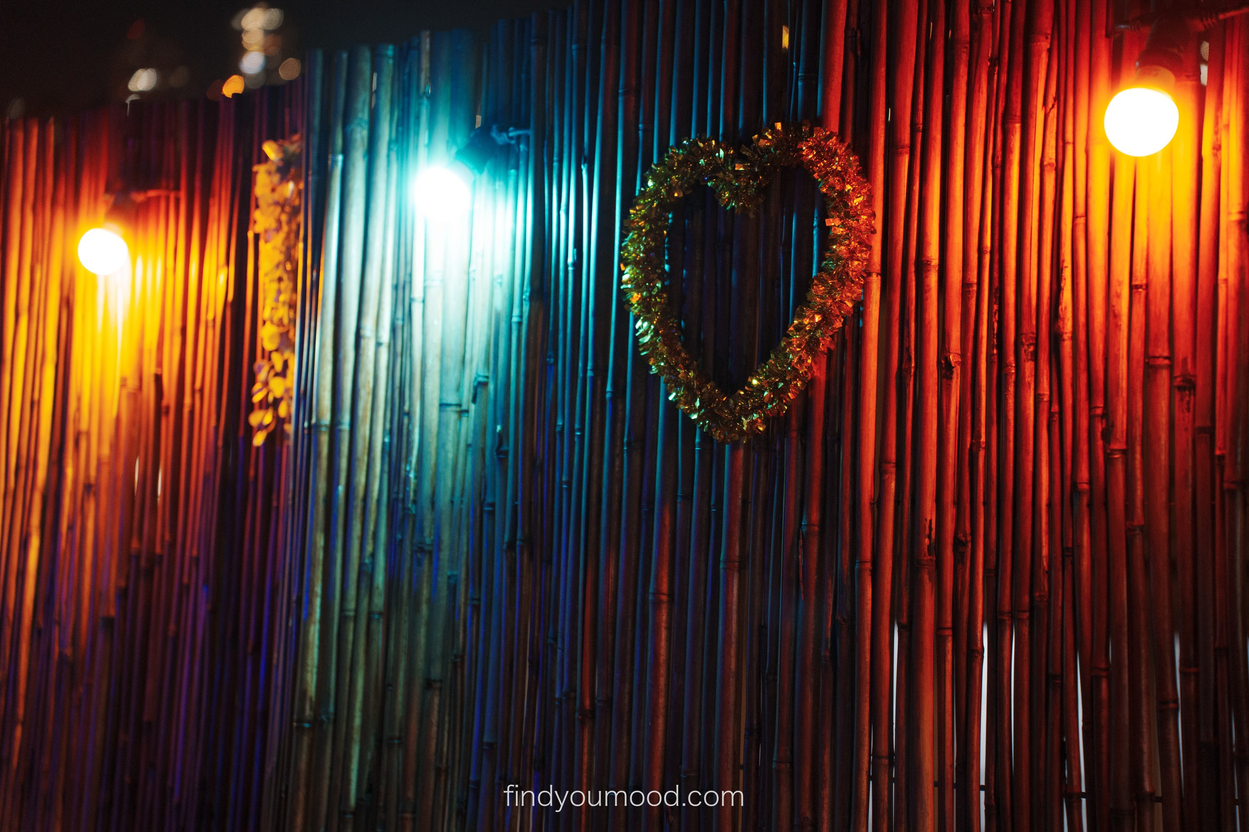 Haifa-2023. Photo and video shooting