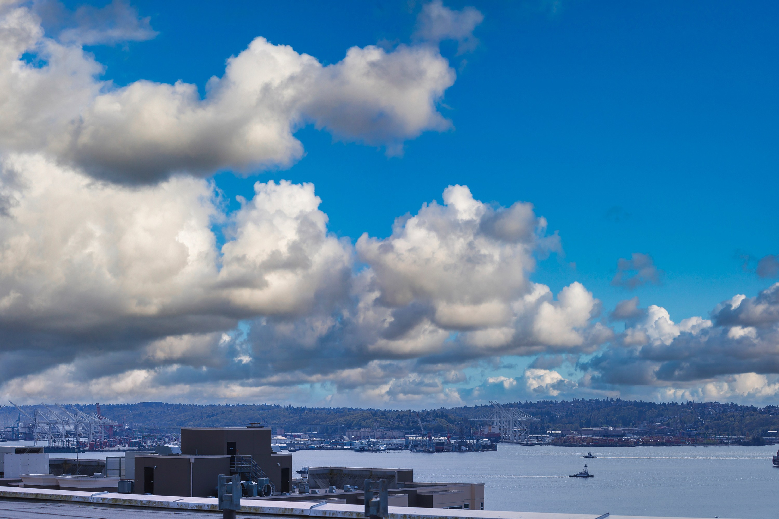 Real Estate Photos. Joanna Jin Photography