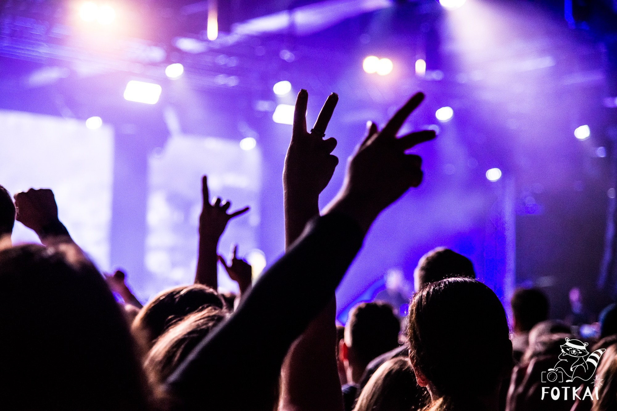 DDT — Fotos del concierto en Auditorio Roig Arena, Valencia, 2026 | FOTKAI