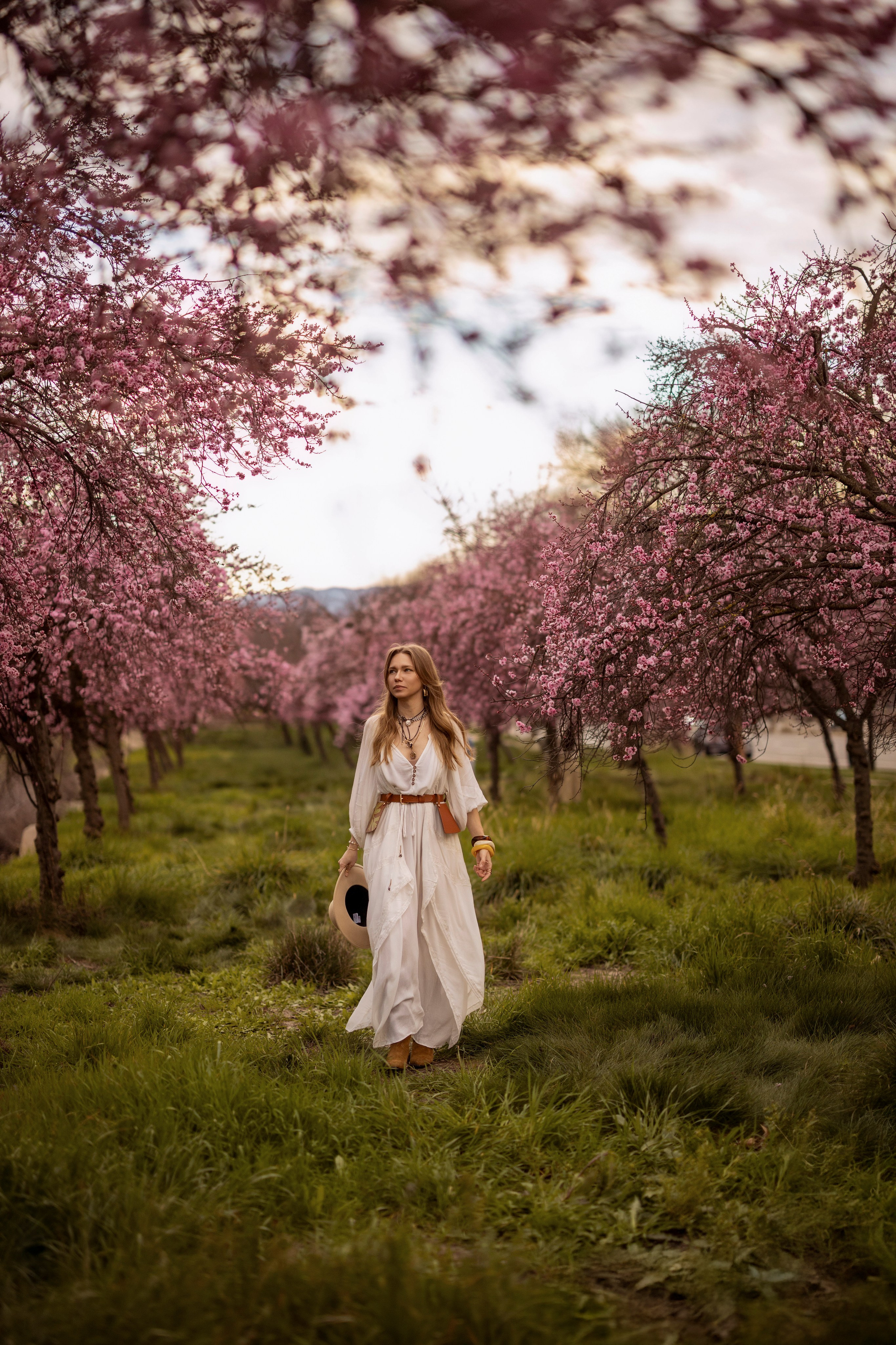 Plum Blossom. Bay Area Photographer: family, maternity, love story, wedding