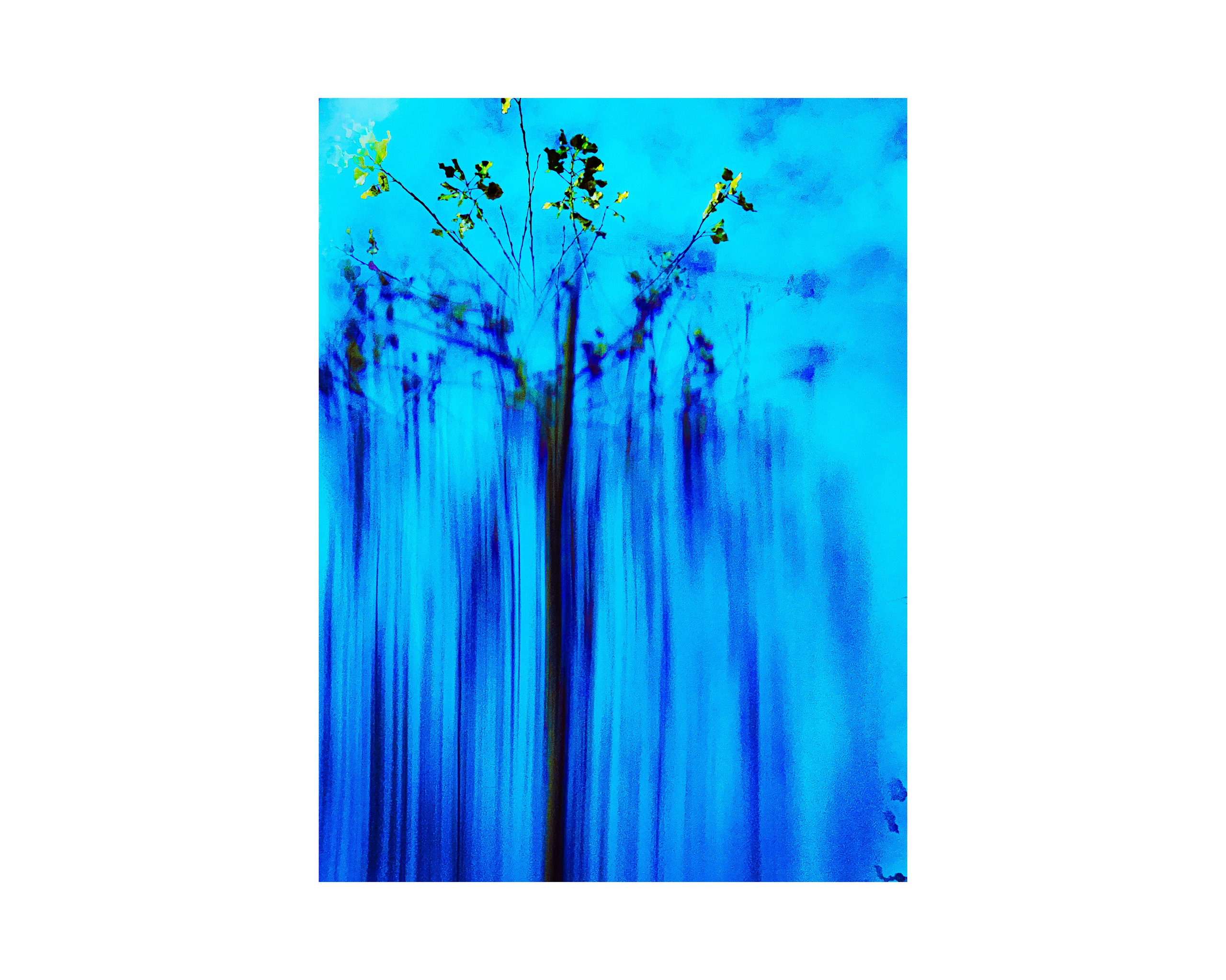 Nature from Exaggerated Worlds. Ekaterina Tsurkina-Appina Photography Canada