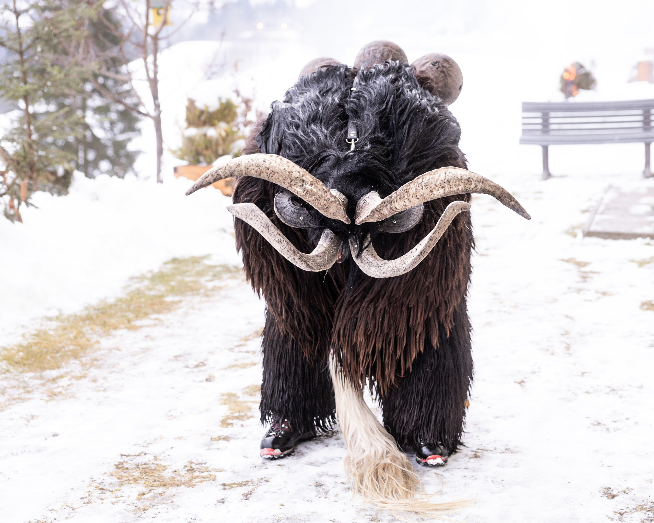 DIMLING PASS, Bad Hofgastein, 06.12.2024. Guzel Kolobova| Fotografin| Salzburg