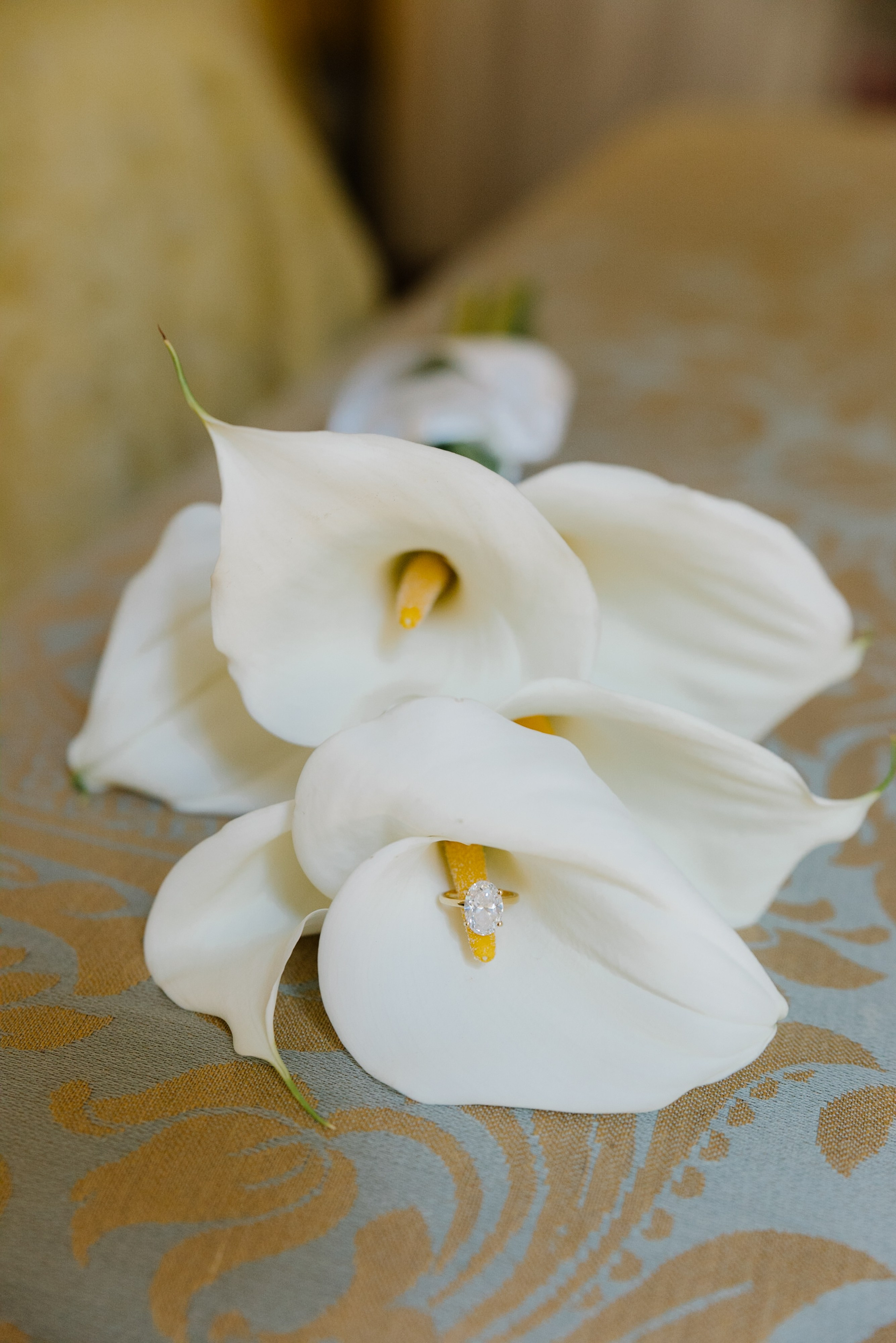 Melissa&Obaid. Wedding photographer Italy