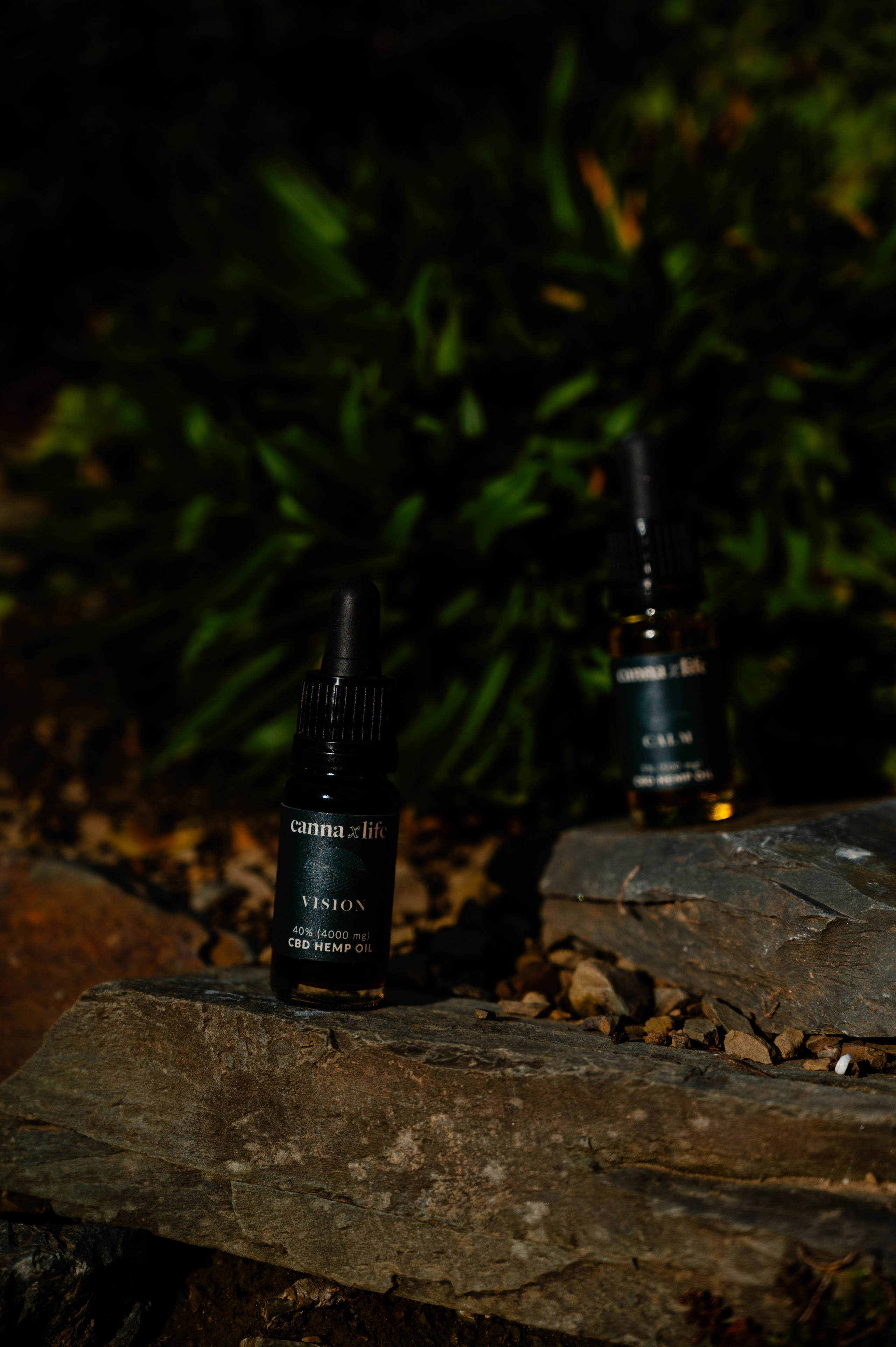 CannaXlife CBD products. ANNA-MARIA PHOTO CONTENT CREATOR — фотограф, эстет, художник и визуальный эксперт в Instagram, работающий в Праге