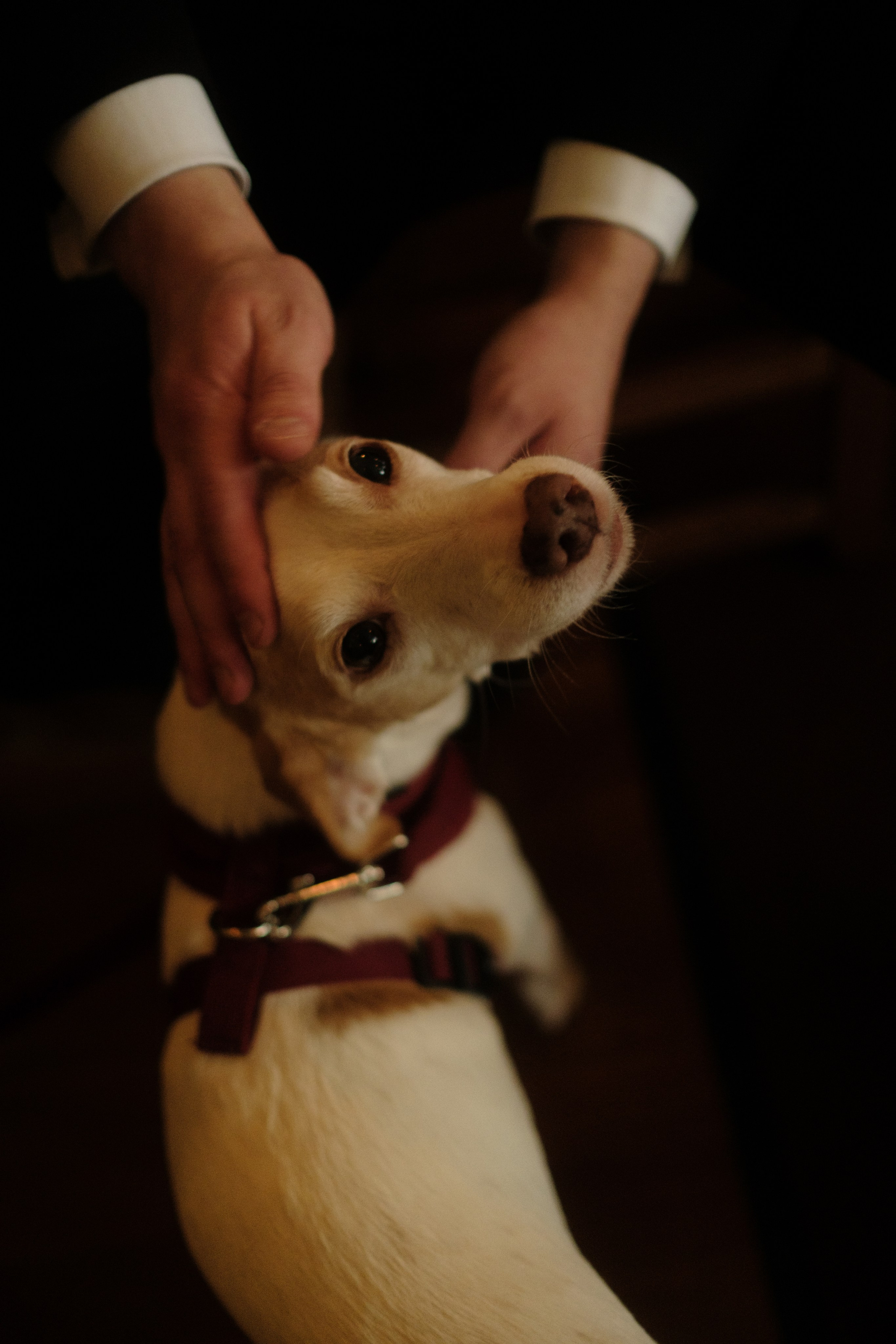 Flo & Men. Rotterdam. Paola fotógrafo / videografo de bodas en Barcelona