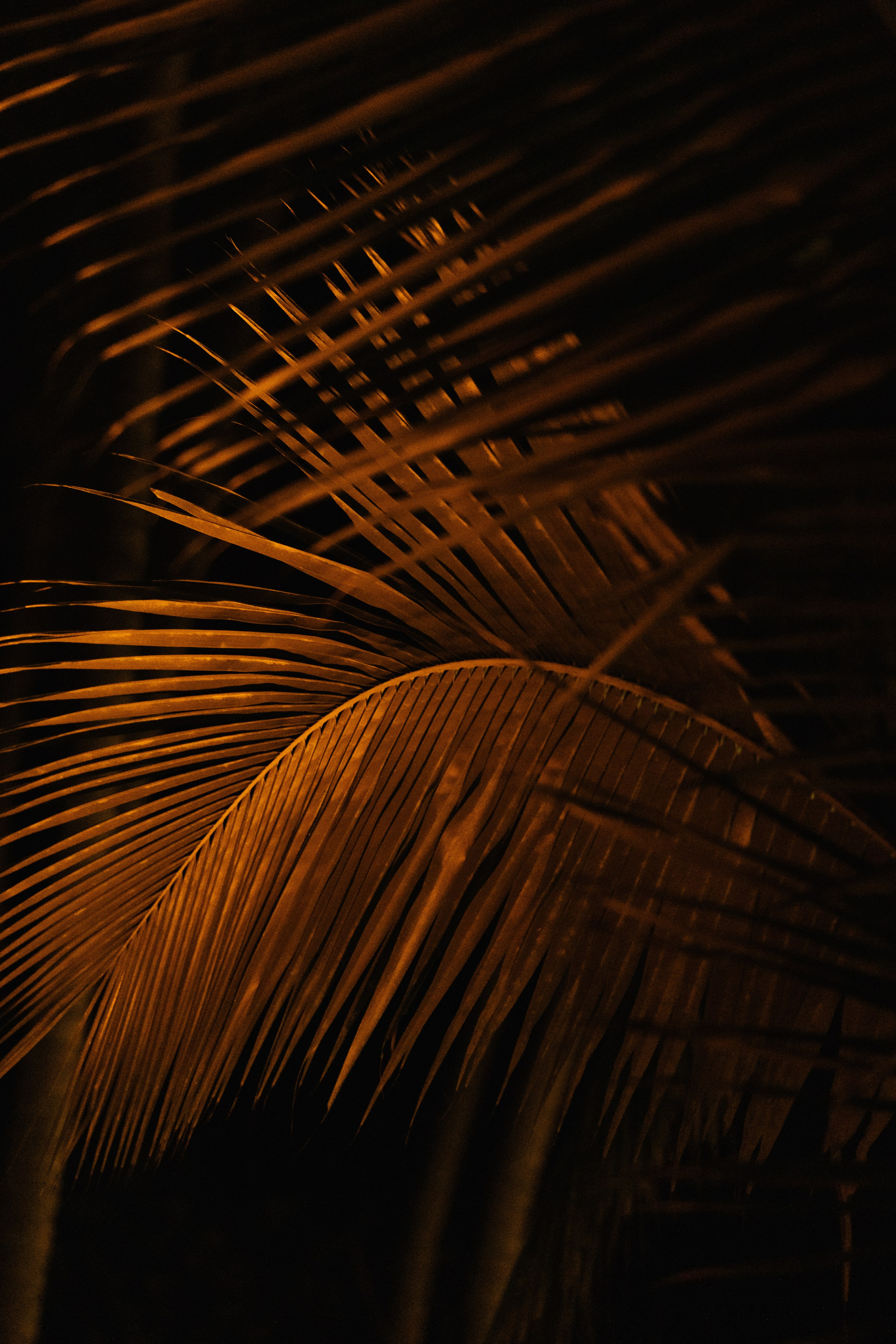 Playa Careyes, Casa Tauro. Wedding photographer Mexico Sayulita Puerto Vallarta Punta Mita Cabo