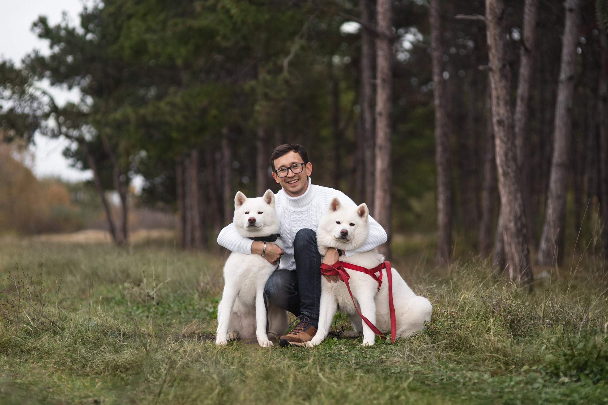 Lime hub. Fotograf in Bulgarien Katerina Zubkova