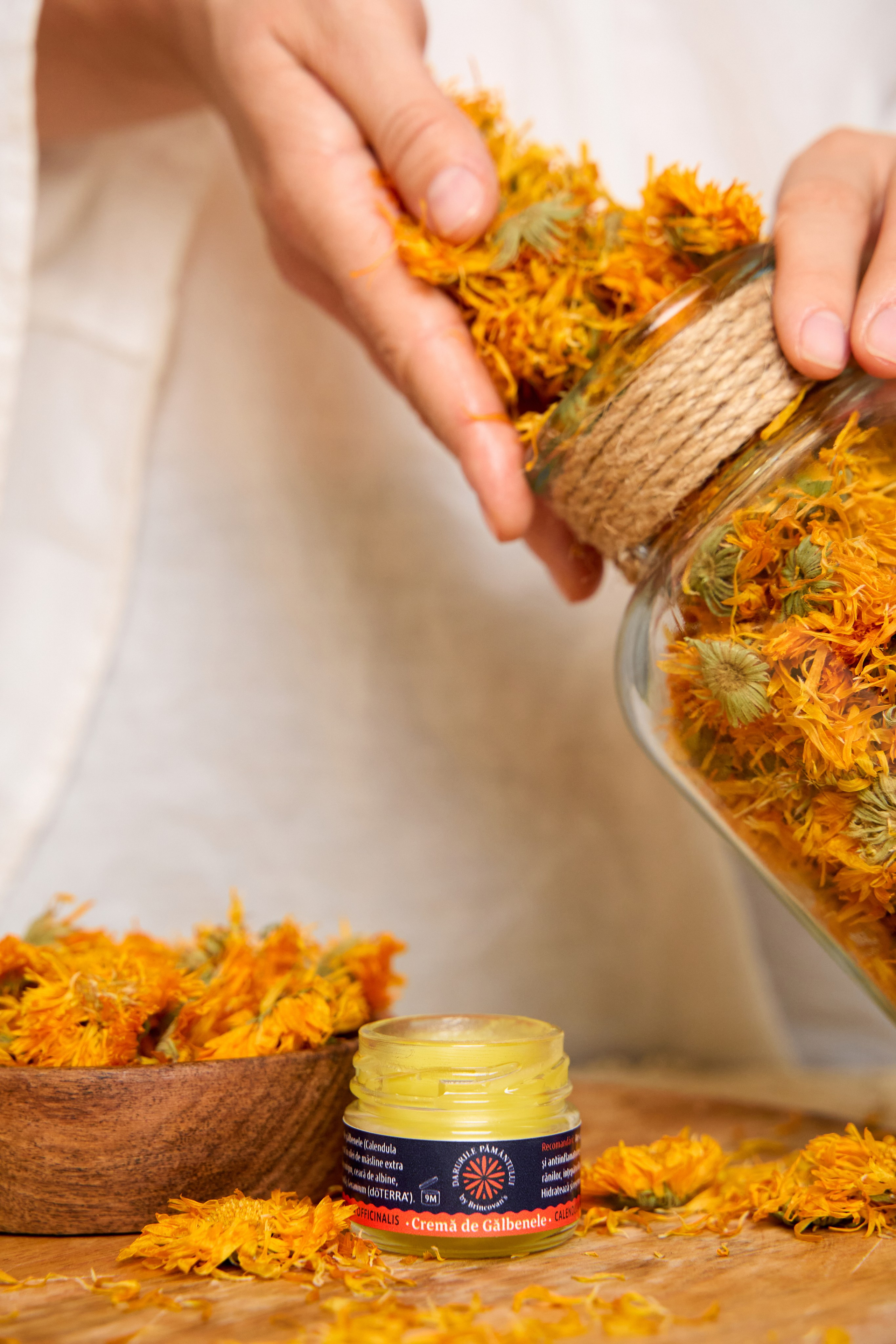 Darurile pamantului. Привет