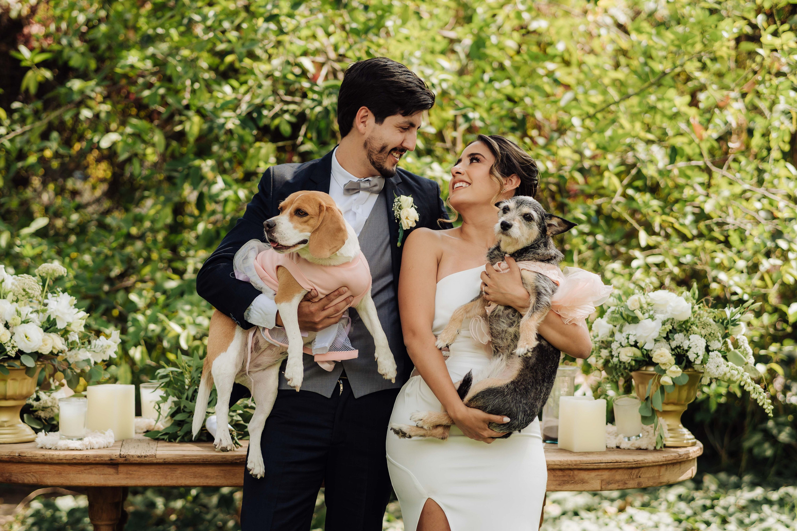 Fotografo Profesional