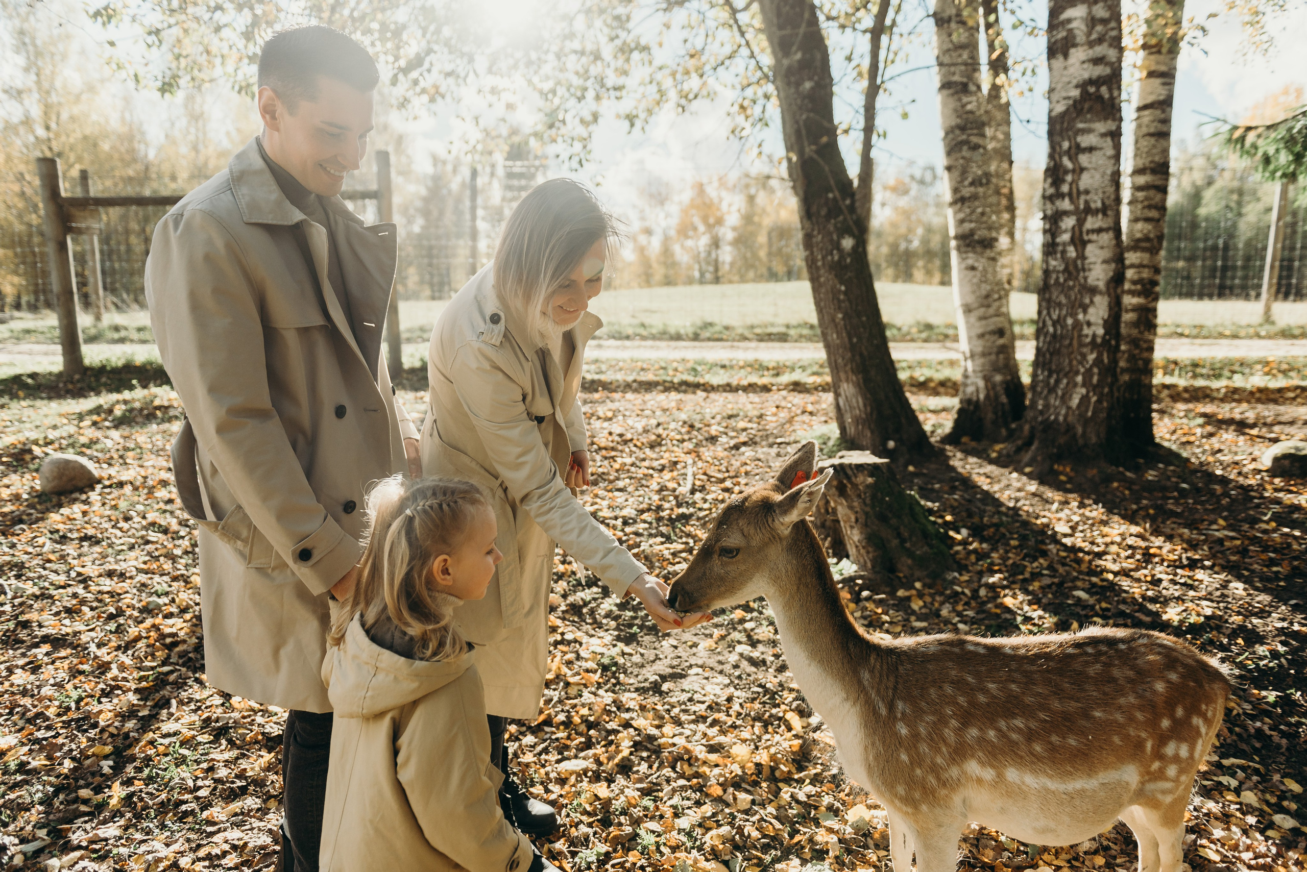 Briežu parks. Свадебный фотограф в Риге — Вячеслав Лучненков