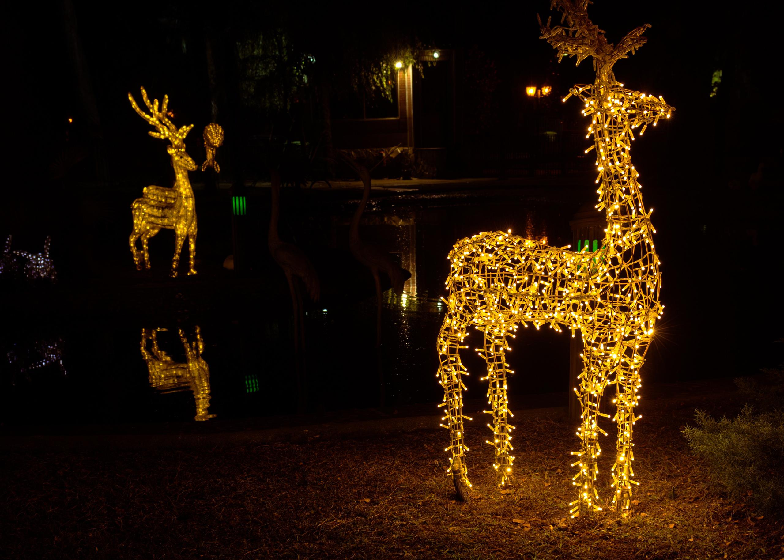 Urban. PHOTOSTORYNIKA